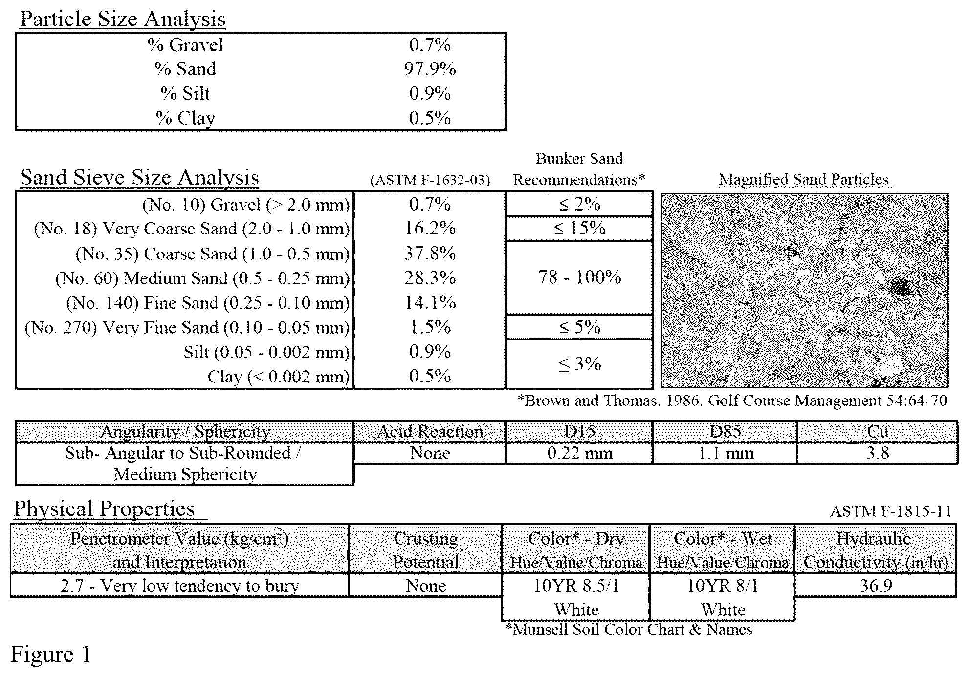 Patent US12157850 — Conditioning composition for optimizing soil or sand surface conditions — Figure 1