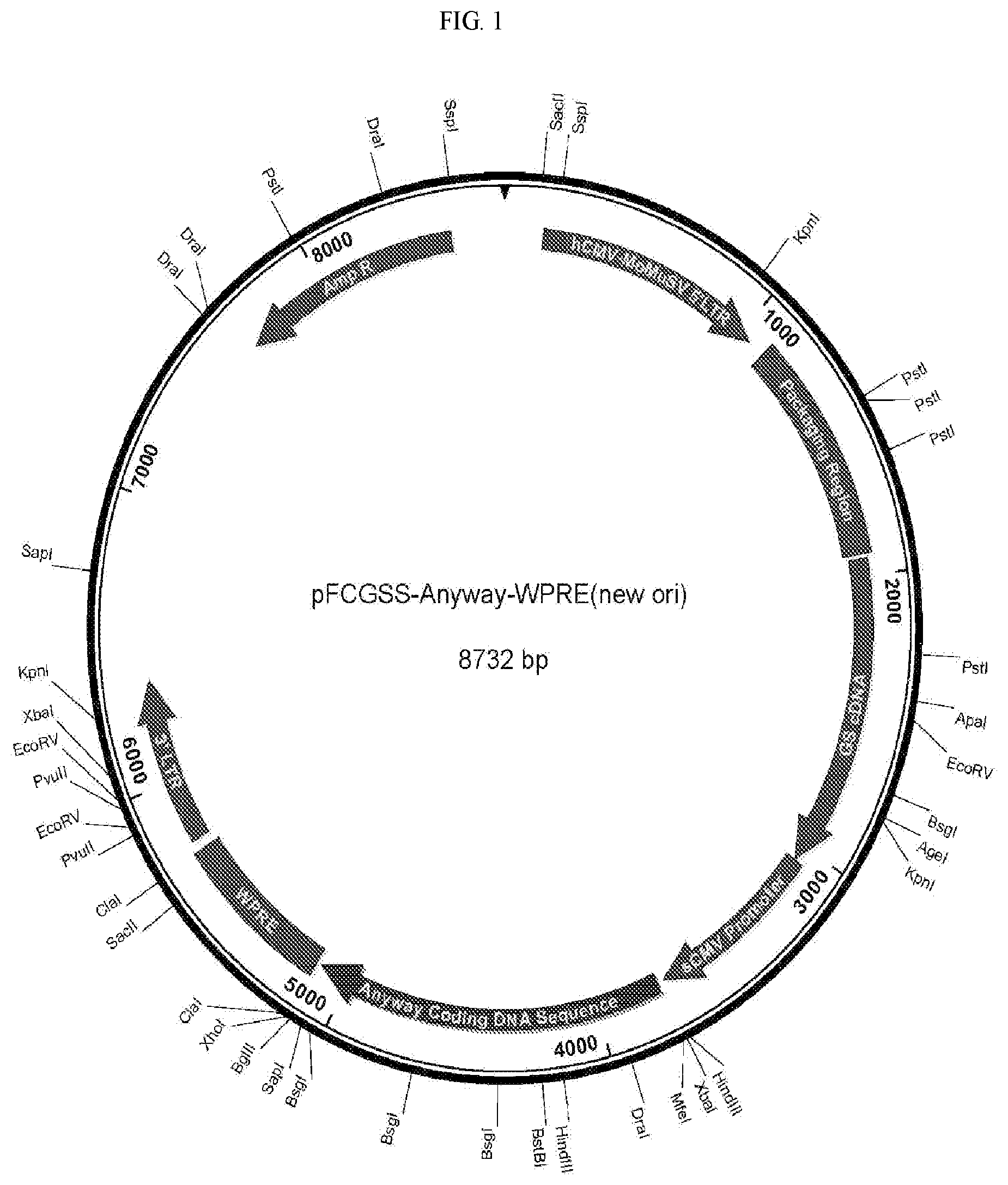 Patent US12157897 — Vectors for protein manufacture — Figure 1