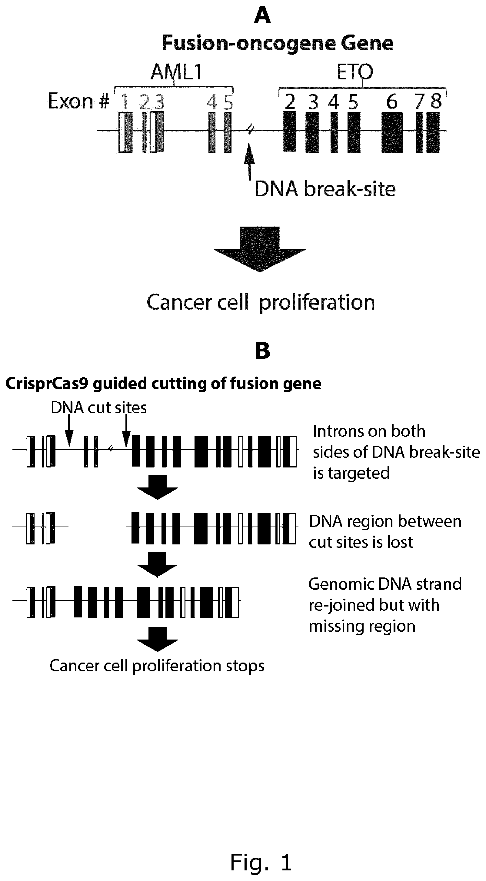 Patent US12157905 — CRISPR gene therapy of fusion gene related cancers — Figure 1