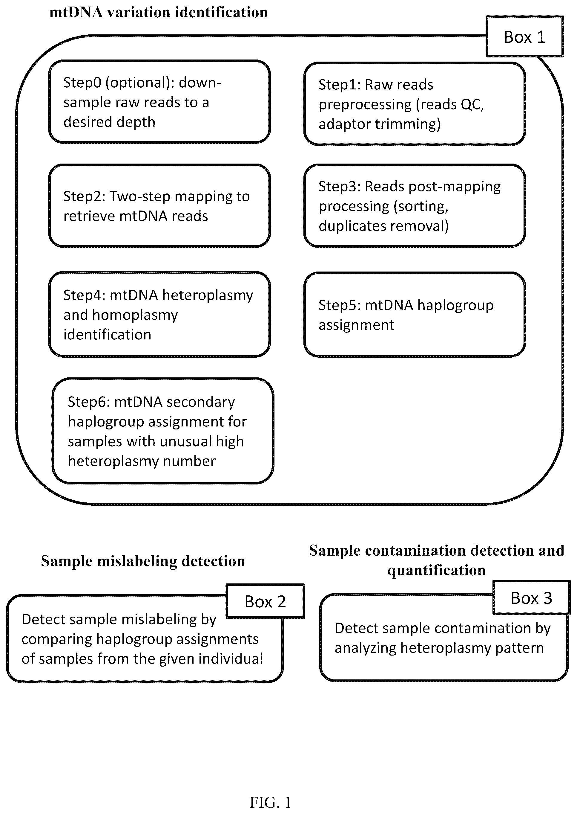 Patent US12157916 — Mitochondrial DNA quality control — Figure 1