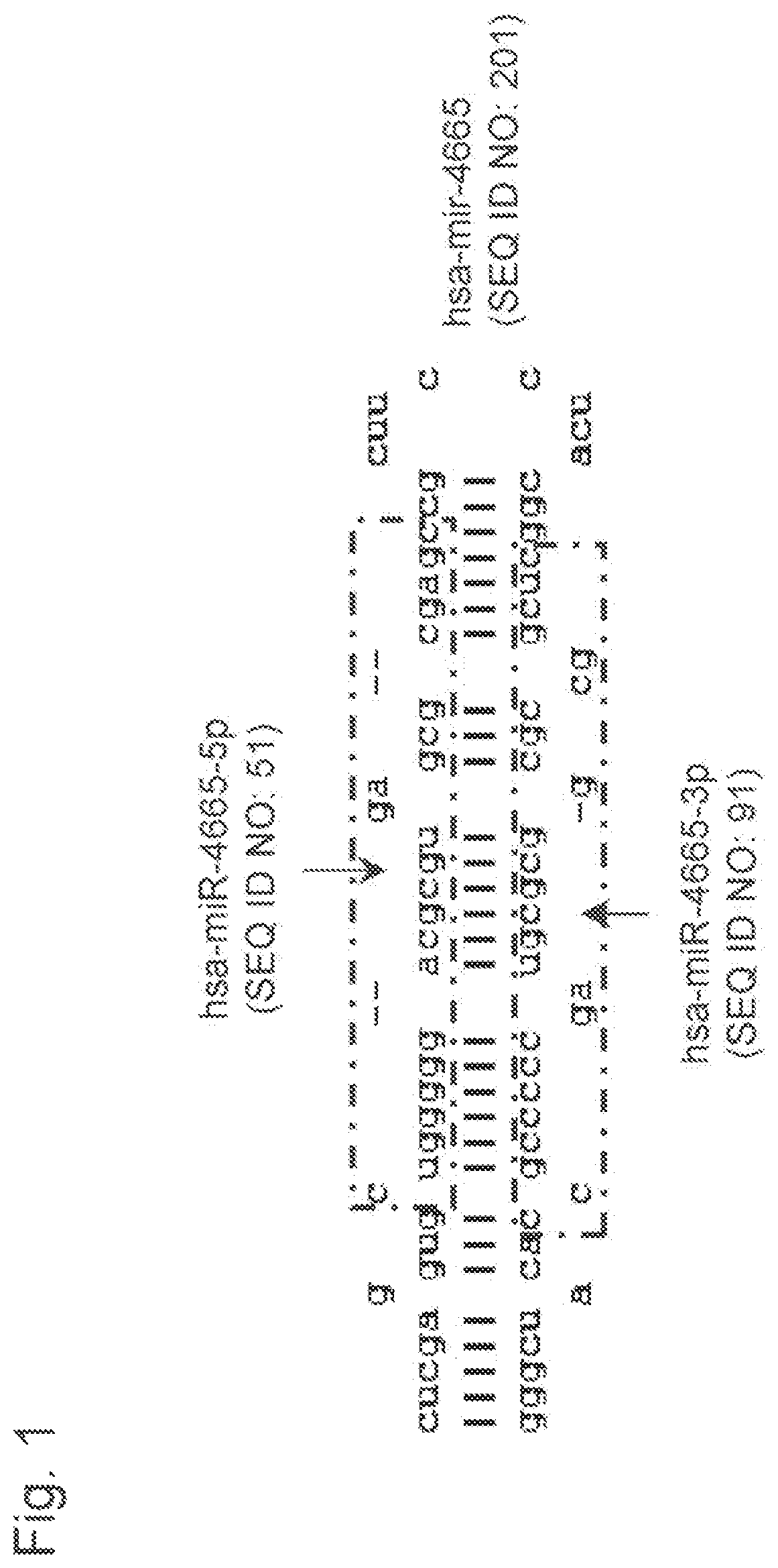Patent US12157919 — Biliary tract cancer detection kit or device, and detection method — Figure 1