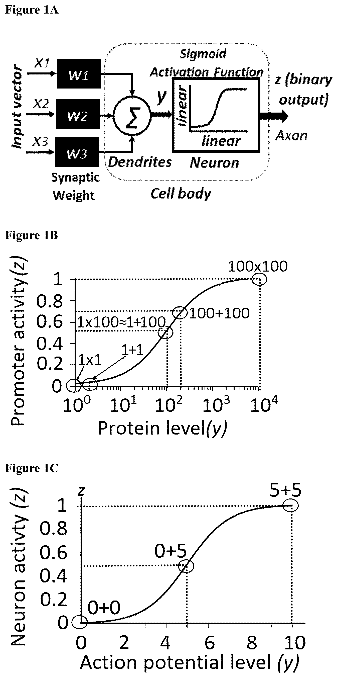 Patent US12165070 — DNA-based neural network — Figure 1