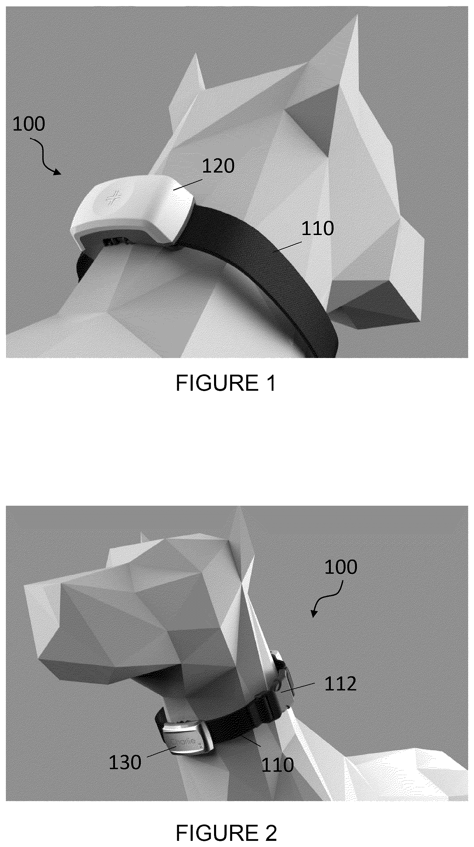 Patent US12167716 — Animal collar assembly — Figure 1