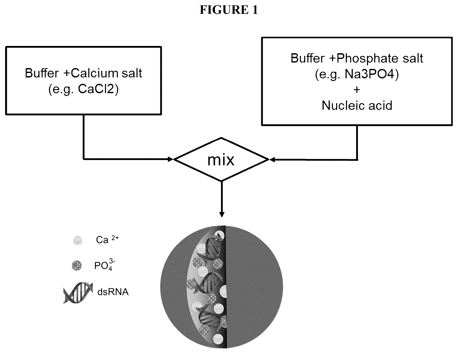 Patent US12167732 — Alkali-resistant calcium phosphate/nucleic acids hybrid carrier for pest control and method to produce the particles — Figure 1