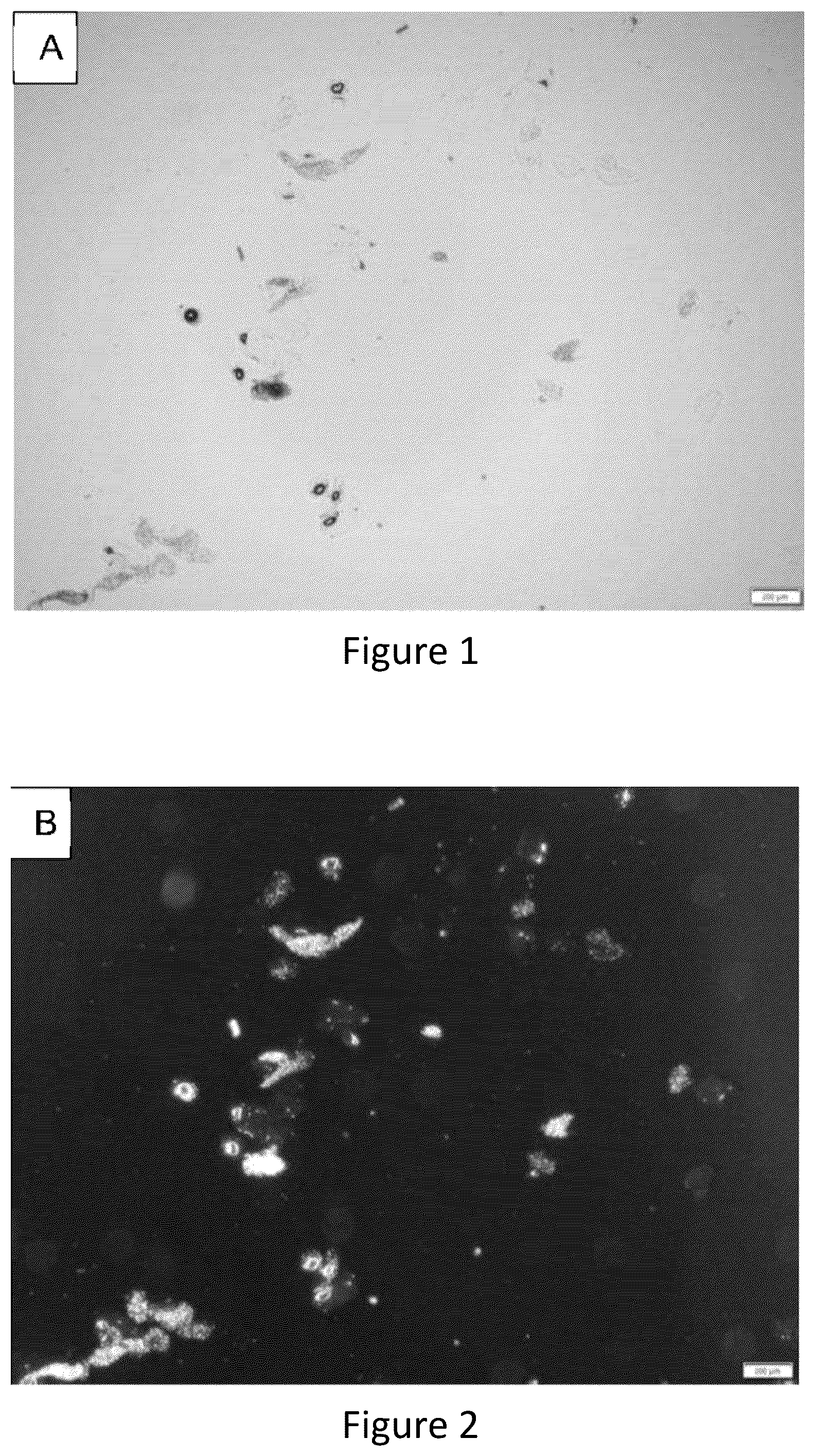 Patent US12167965 — Liquid collagen bioinks and methods to make and use collagen structures — Figure 1