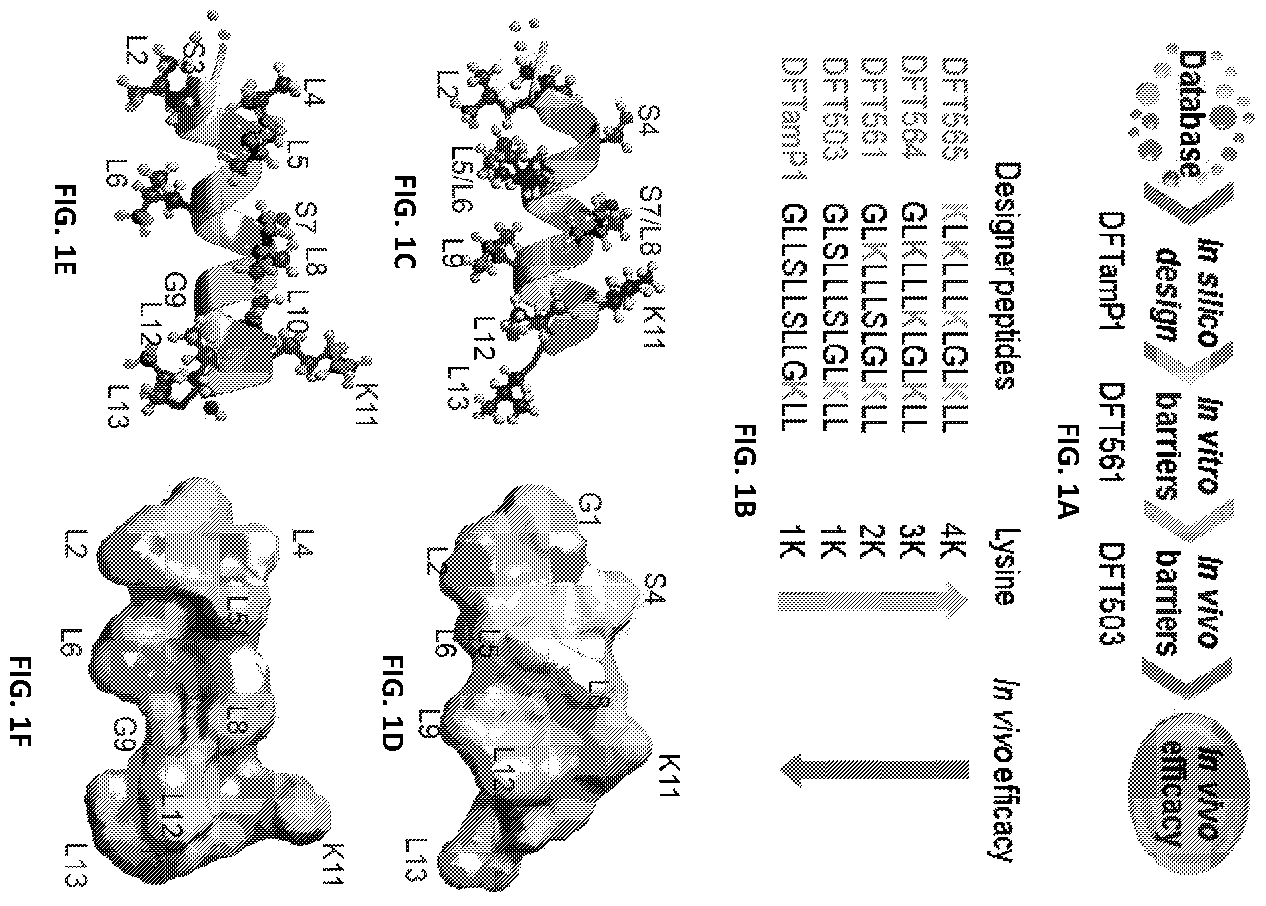 Patent US12173088 — Anti-microbial peptides — Figure 1