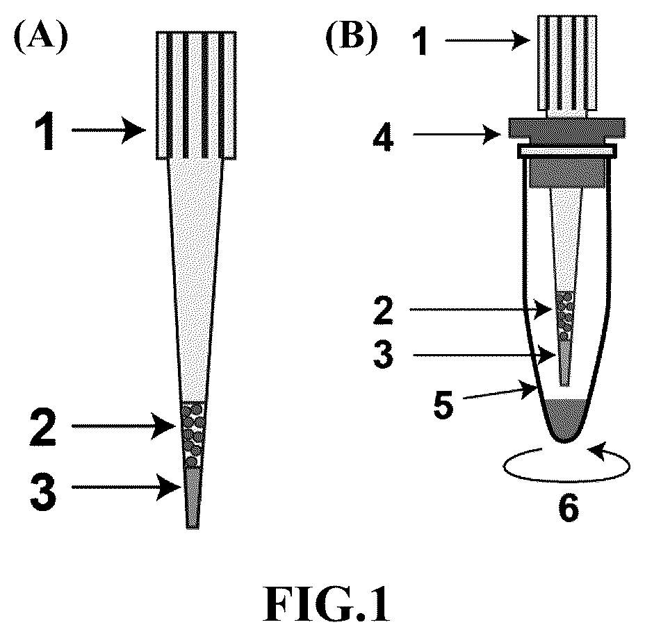 Patent US12174157 Figure 1 – Proteomics reactor, protein chromatographic separation platform and use thereof