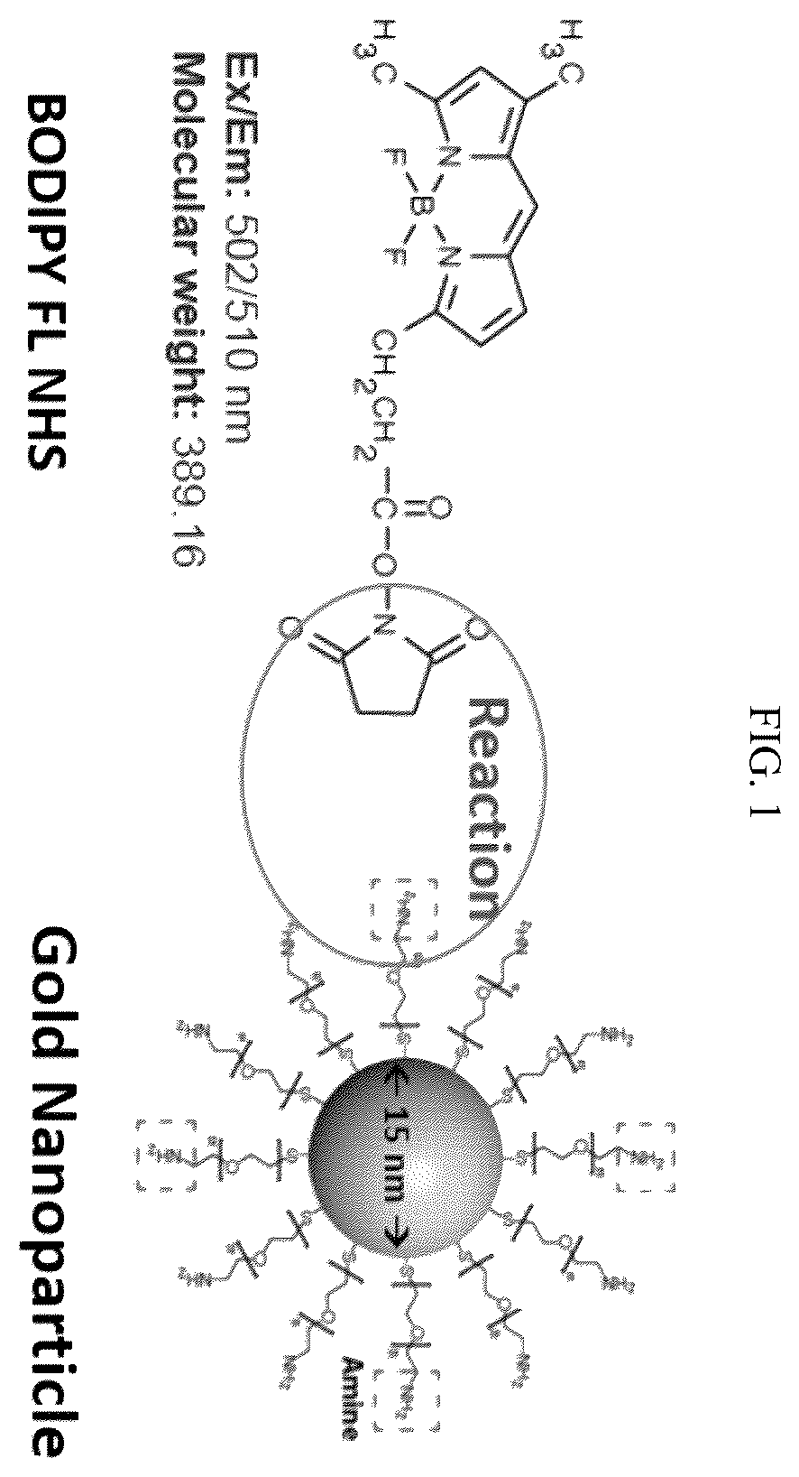 Patent US12174161 Figure 1 – Methods of measuring hydrophobicity of chromatographic resins
