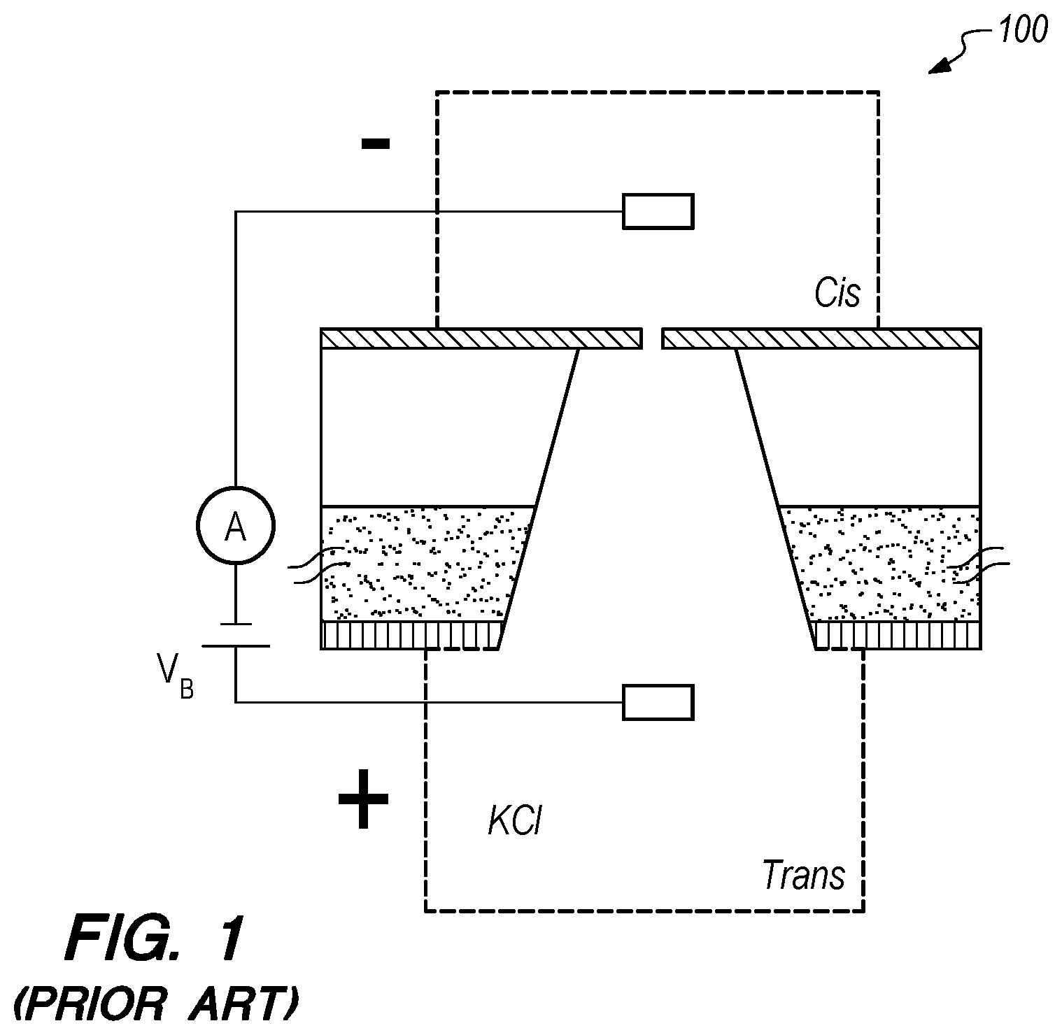 Patent US12174171 — Nanopore device and methods of electrical array addressing and sensing — Figure 1
