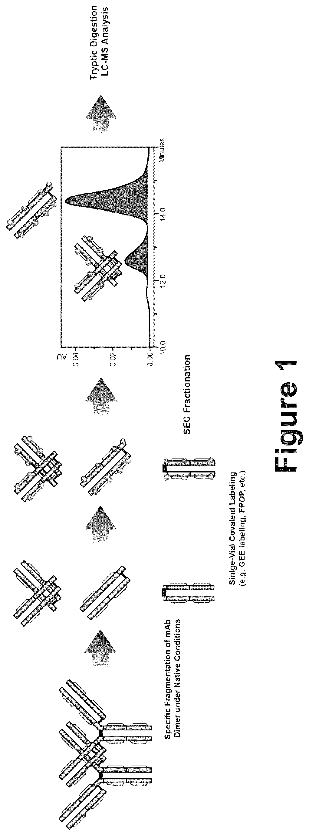Patent US12174173 — System and method for characterizing protein dimerization — Figure 1