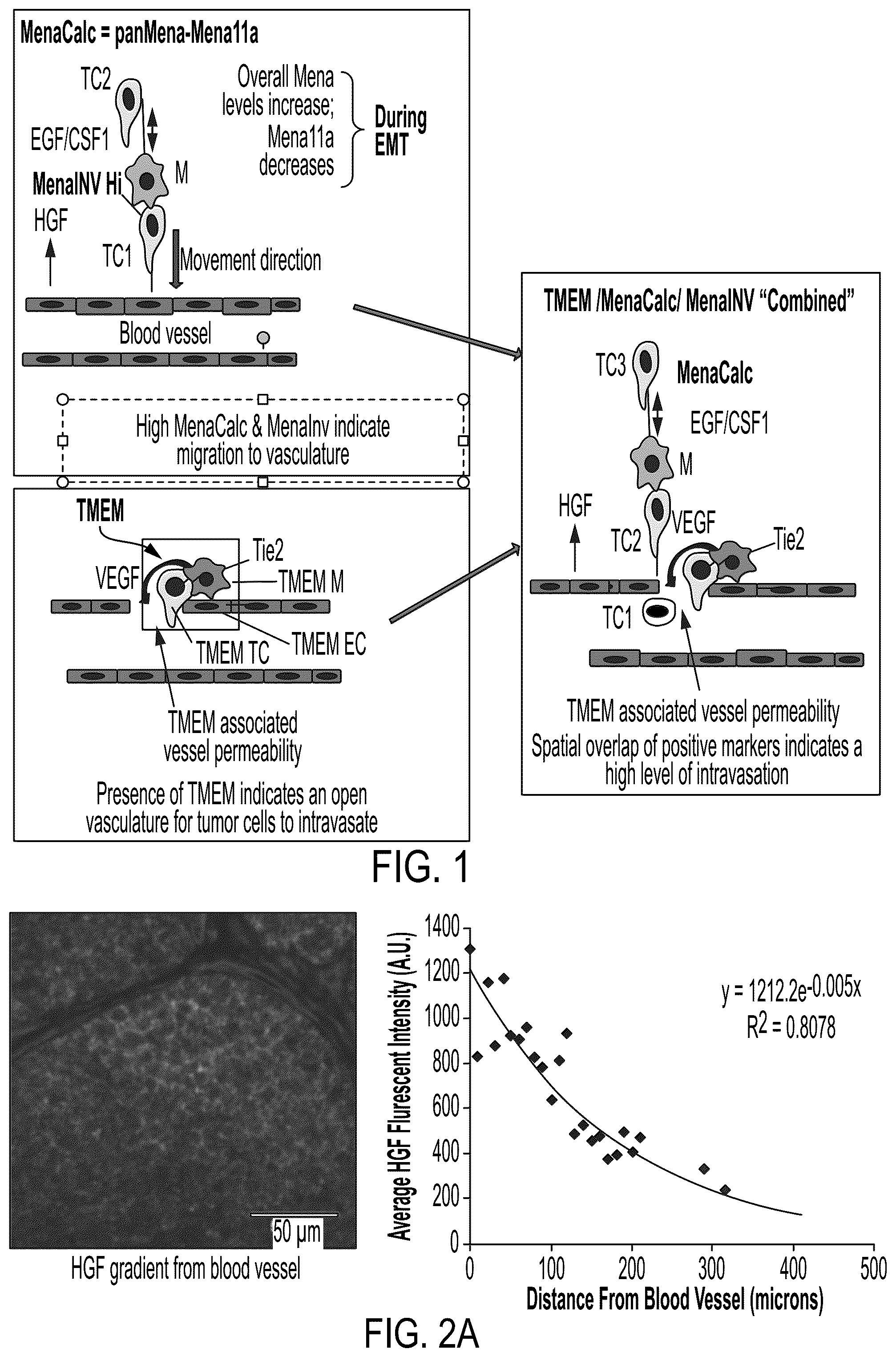 Patent US12174190 — Combined markers for metastatic cancer and uses thereof — Figure 1