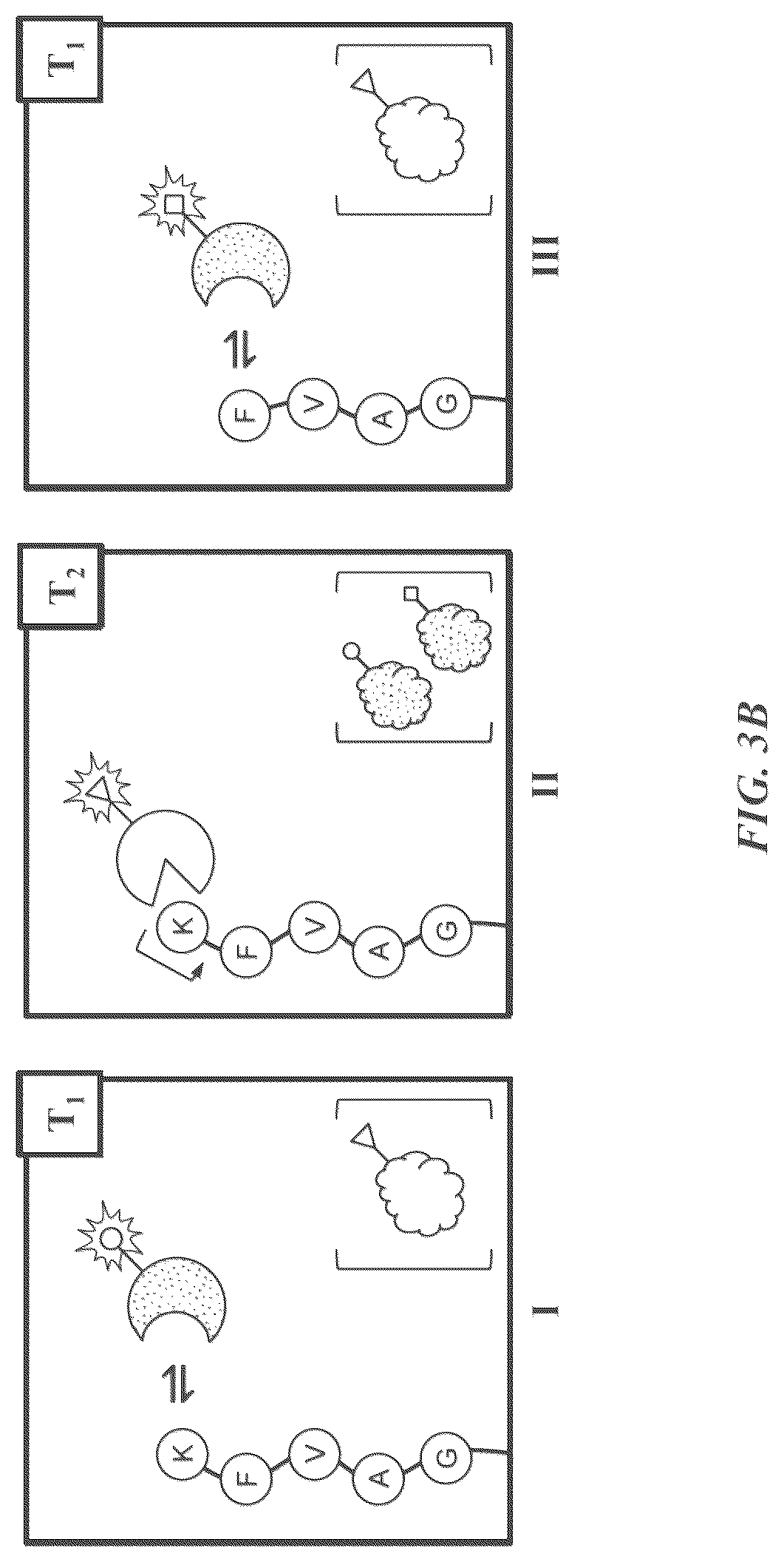 Patent US12174196 Figure 6 – Methods and compositions for protein sequencing