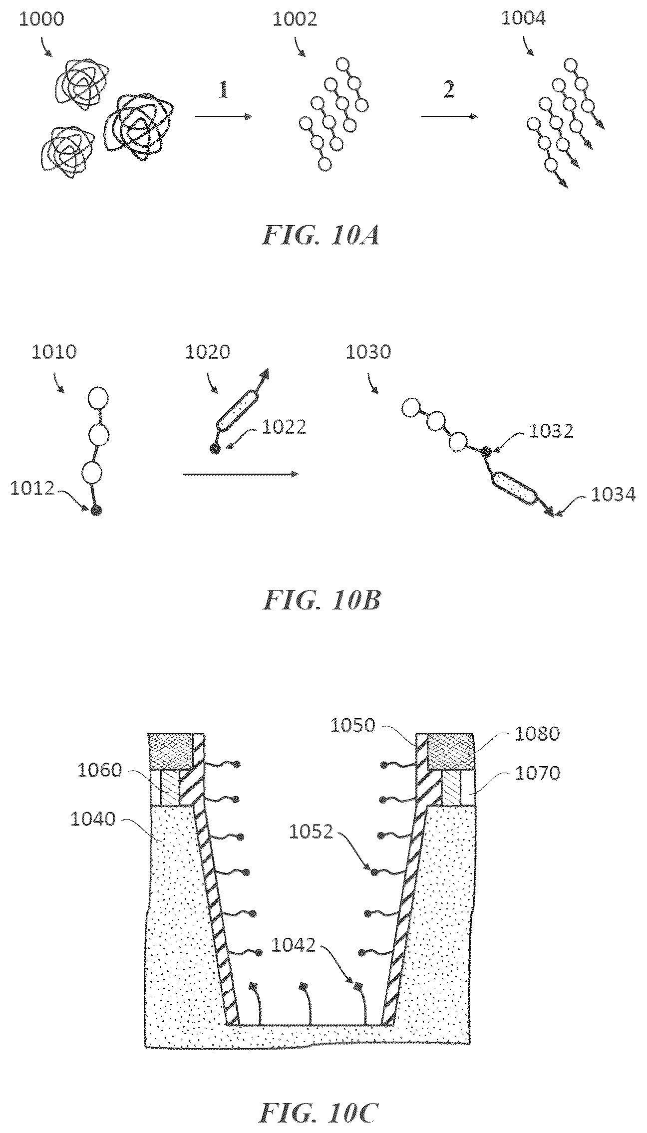 Patent US12174196 Figure 14 – Methods and compositions for protein sequencing