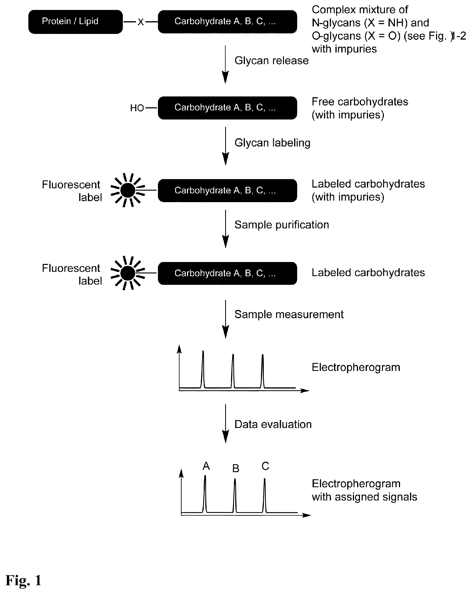 Patent US12174197 — Sulfonated 2(7)-aminoacridone and 1-aminopyrene dyes and their use as fluorescent tags, in particular for carbohydrate analysis — Figure 1