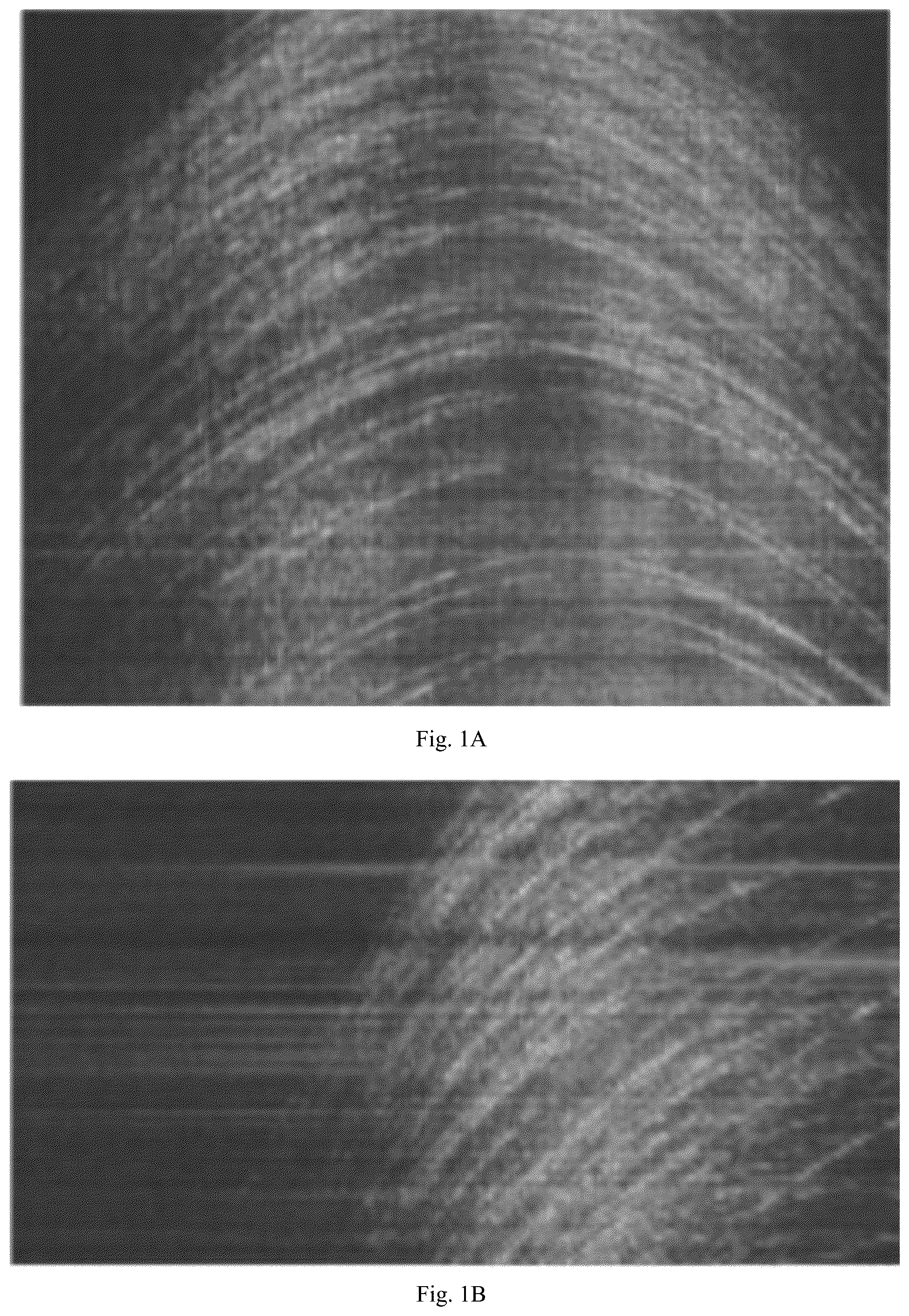 Patent US12174292 — Noise suppression method and system for inverse synthetic aperture radar micro-cluster objects using generative adversarial network — Figure 1