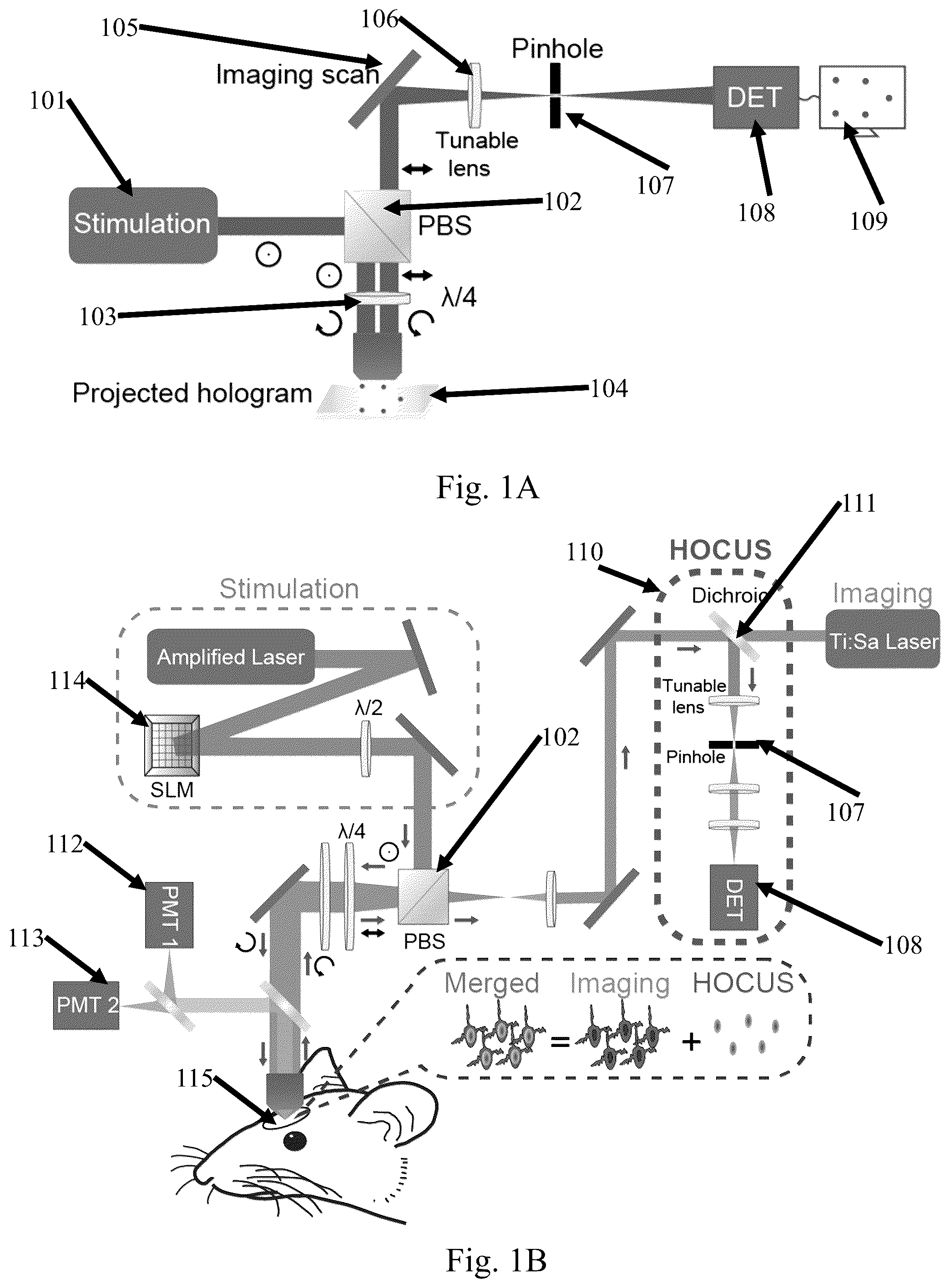 Patent US12174585 — System and method for real-time in-situ holographic microscopy — Figure 1