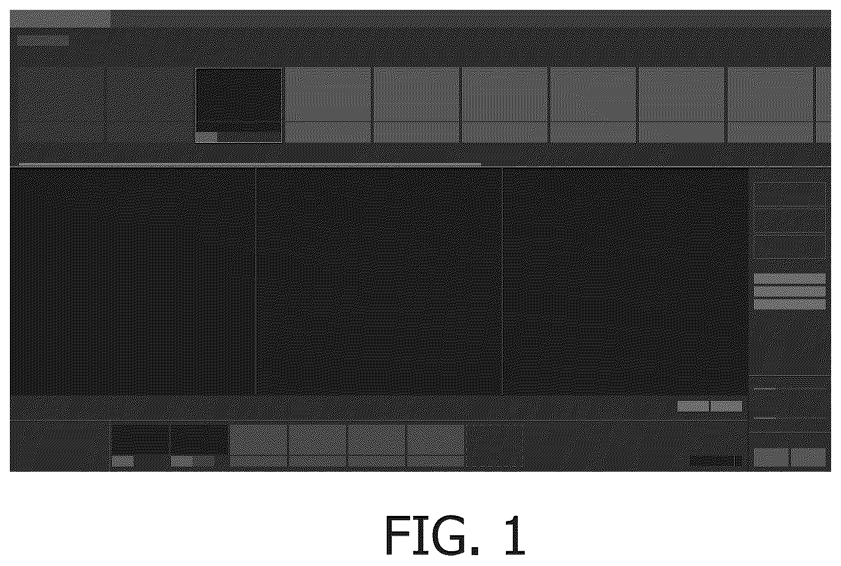 Patent USD1043709 — Display panel with animated graphical user interface — Figure 1