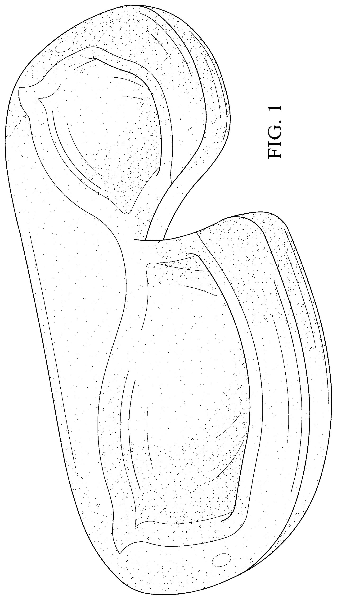 Patent USD1043798 — Eyelash and eyebrow protector — Figure 1