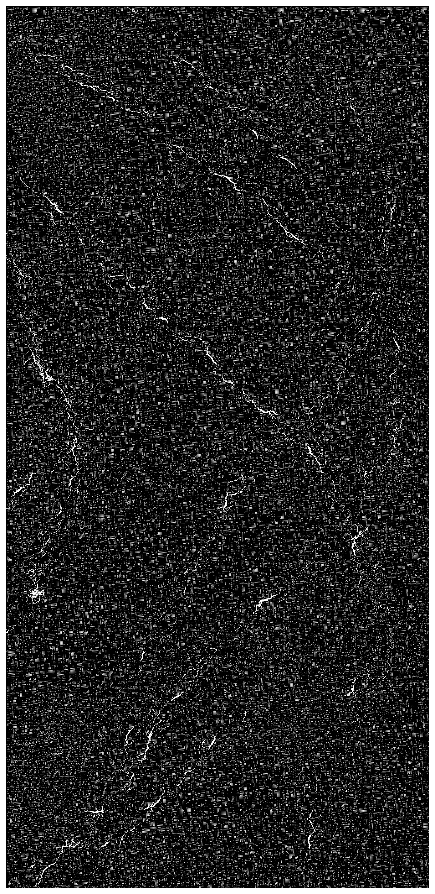 Patent USD1044048 — Slab comprising particulate mineral mixture — Figure 1