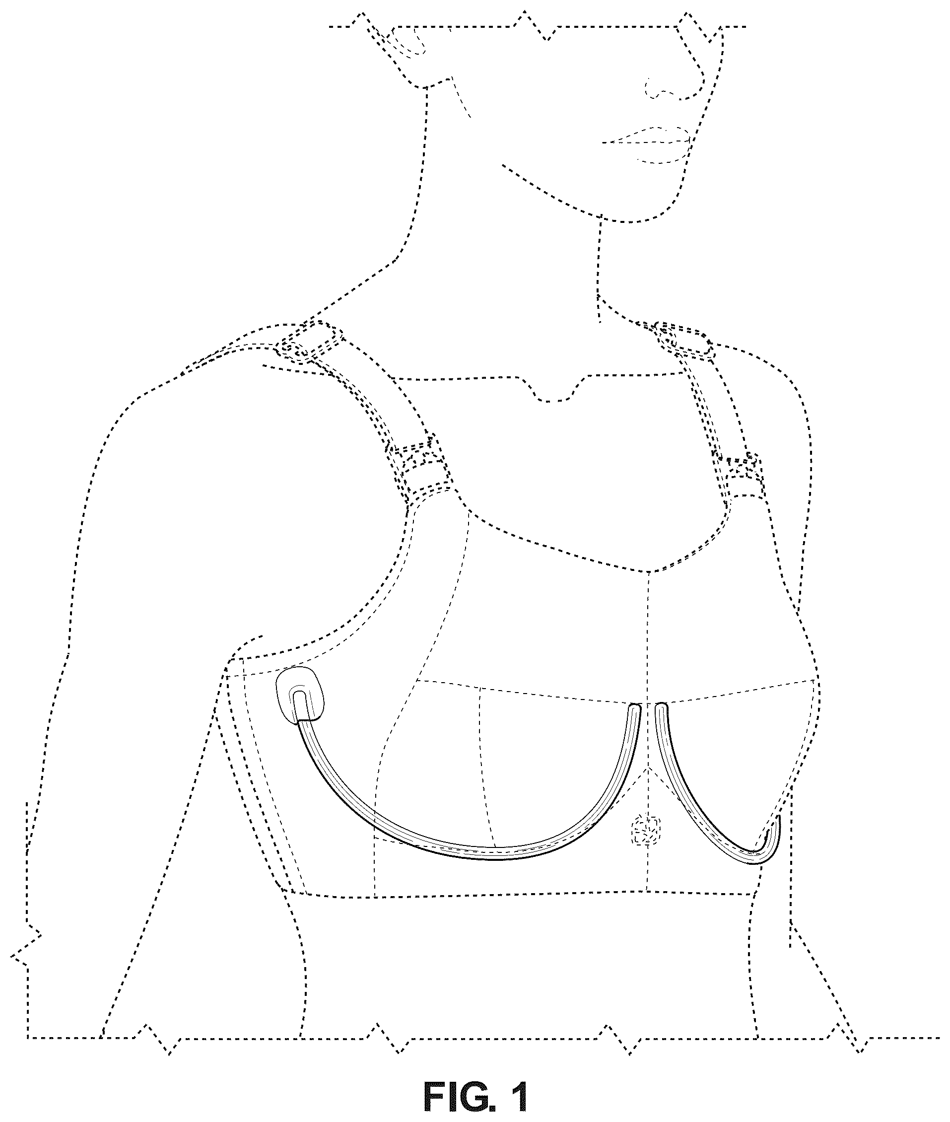 Patent USD1044205 Figure 1 – Bra with a removable underwire