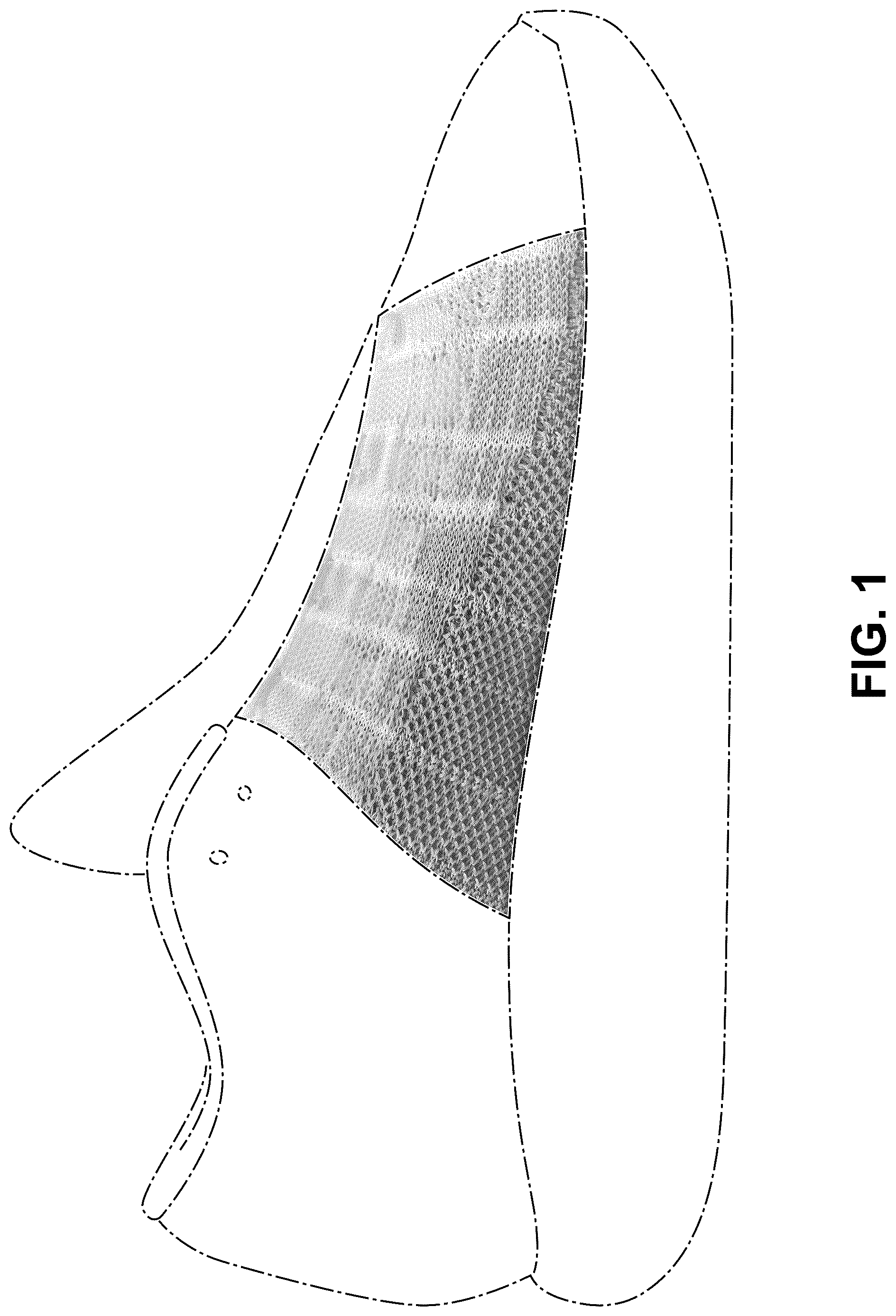 Patent USD1044249 — Shoe — Figure 1