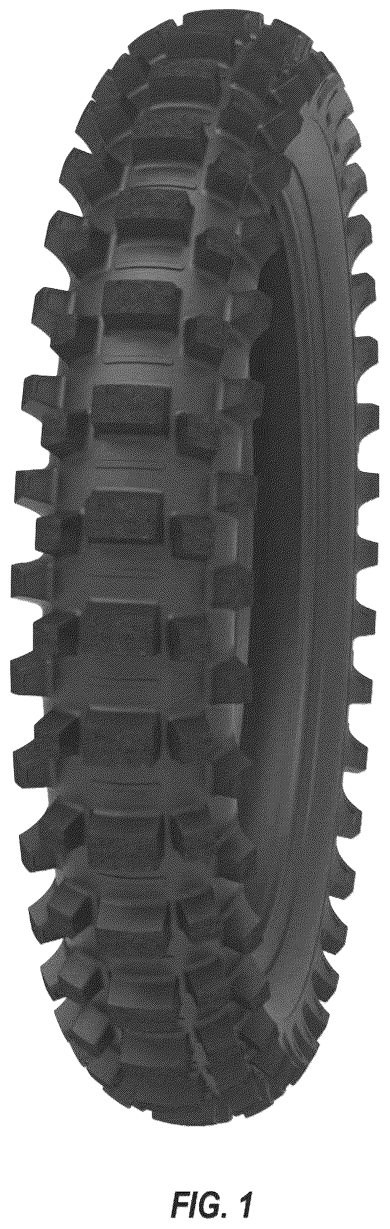 Patent USD1044694 Figure 1 – Motorcycle tire