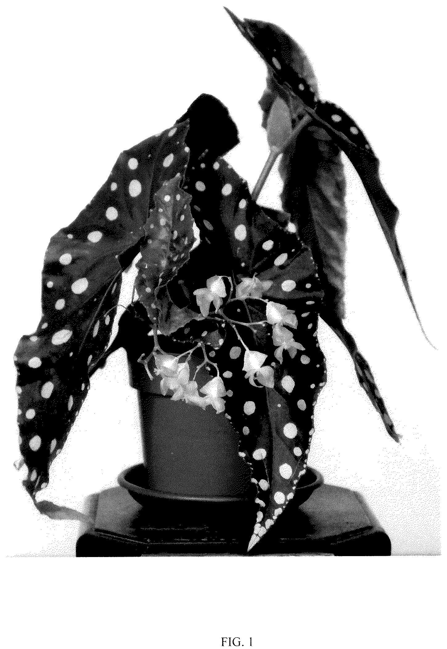 Patent USPP036149 — Begonia plant named ‘EC-BEGO-2305’ — Figure 1