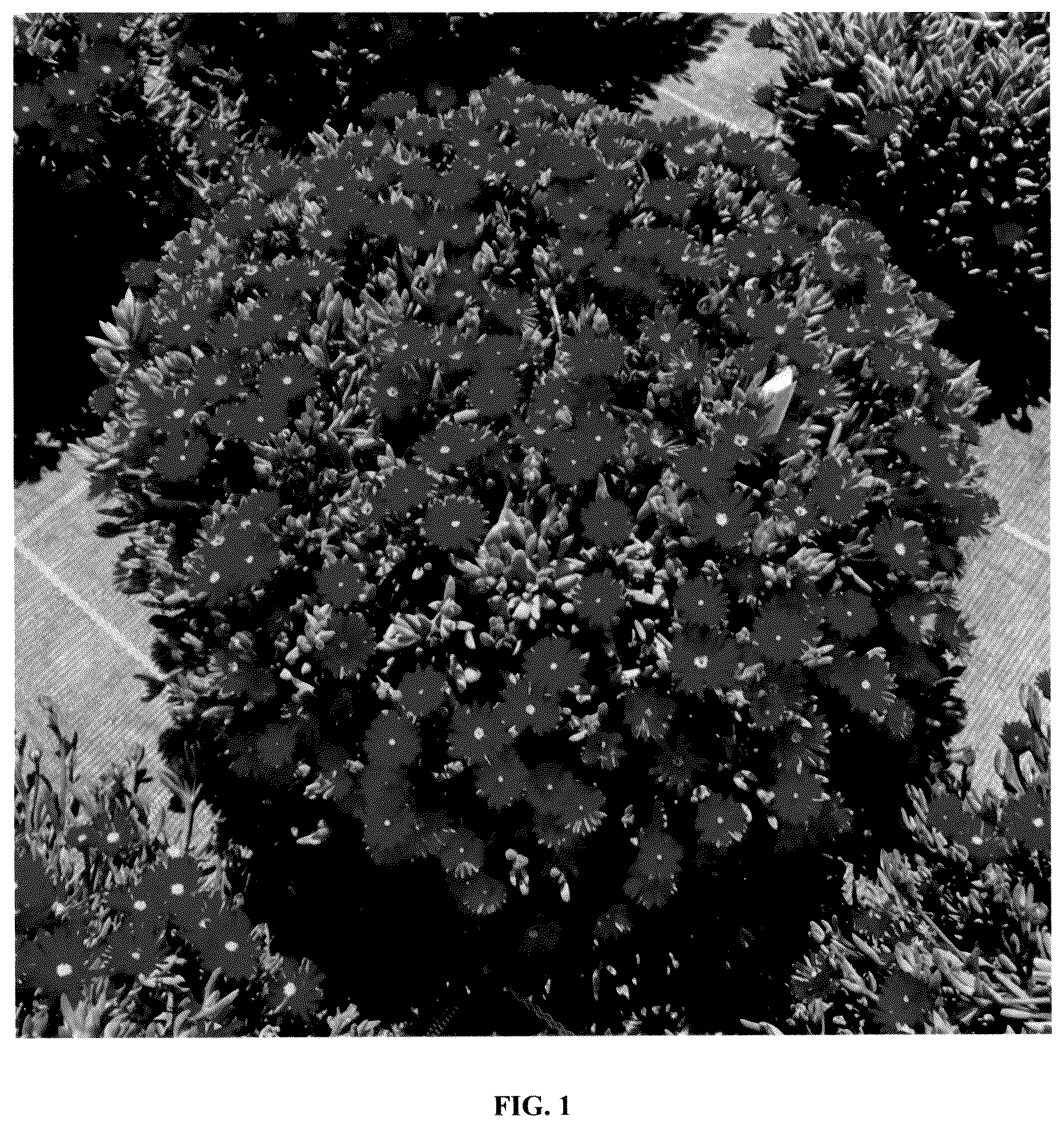 Patent USPP036295 — Delosperma plant named ‘FSDD2112’ — Figure 1