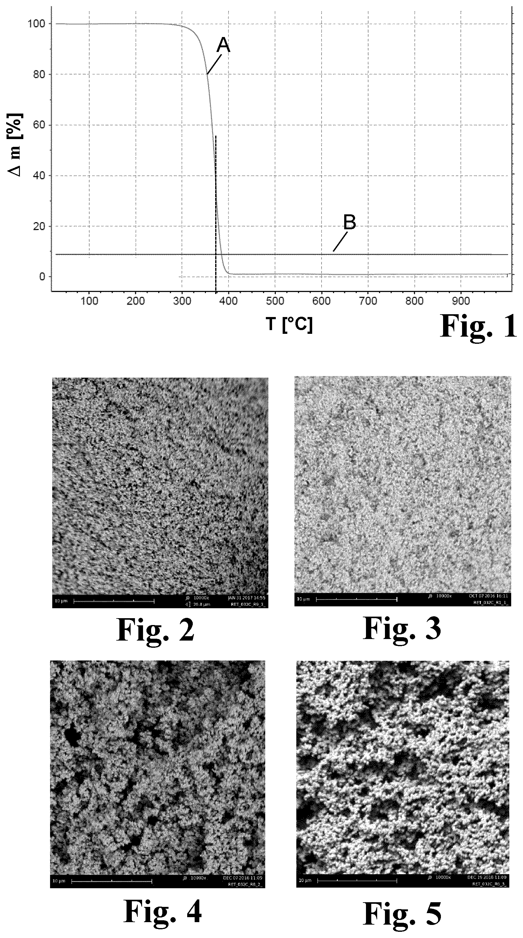 Patent US12297110 — Process for preparing a porous carbon material and a porous carbon material obtainable by this process — Figure 1