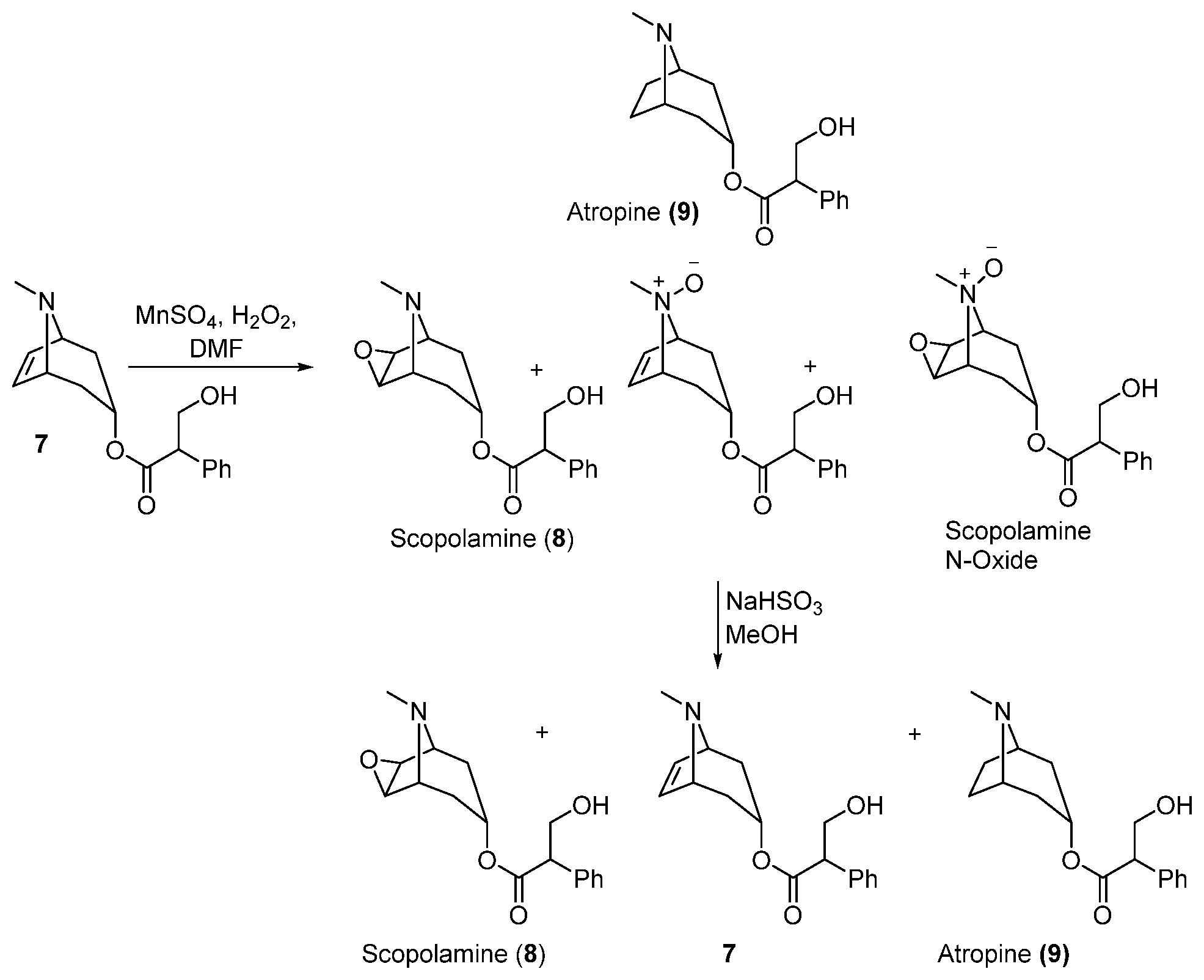 Patent US12297195 — Synthetic route to scopolamine and/or atropine — Figure 1