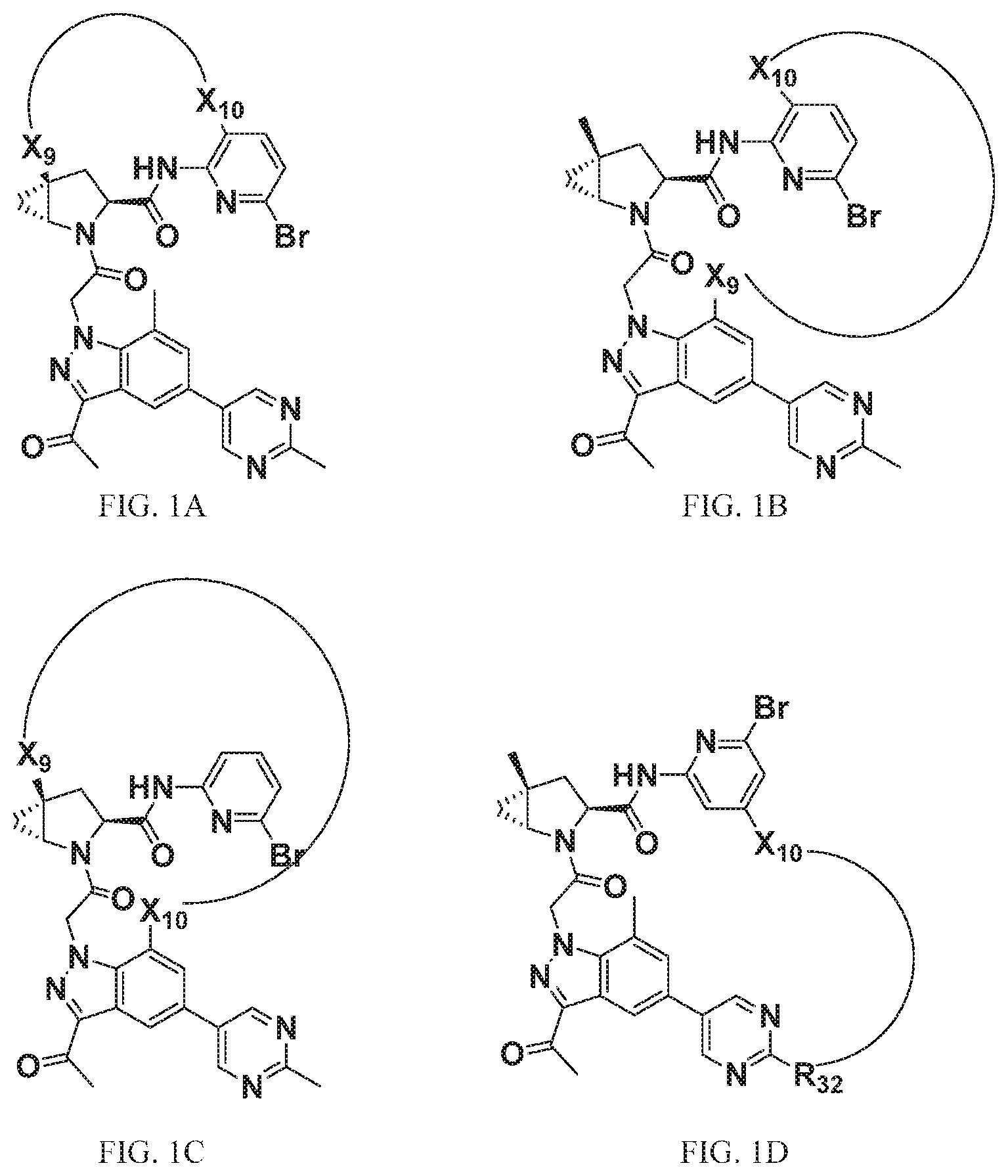 Patent US12297205 Figure 1 – Macrocyclic compounds for treatment of medical disorders