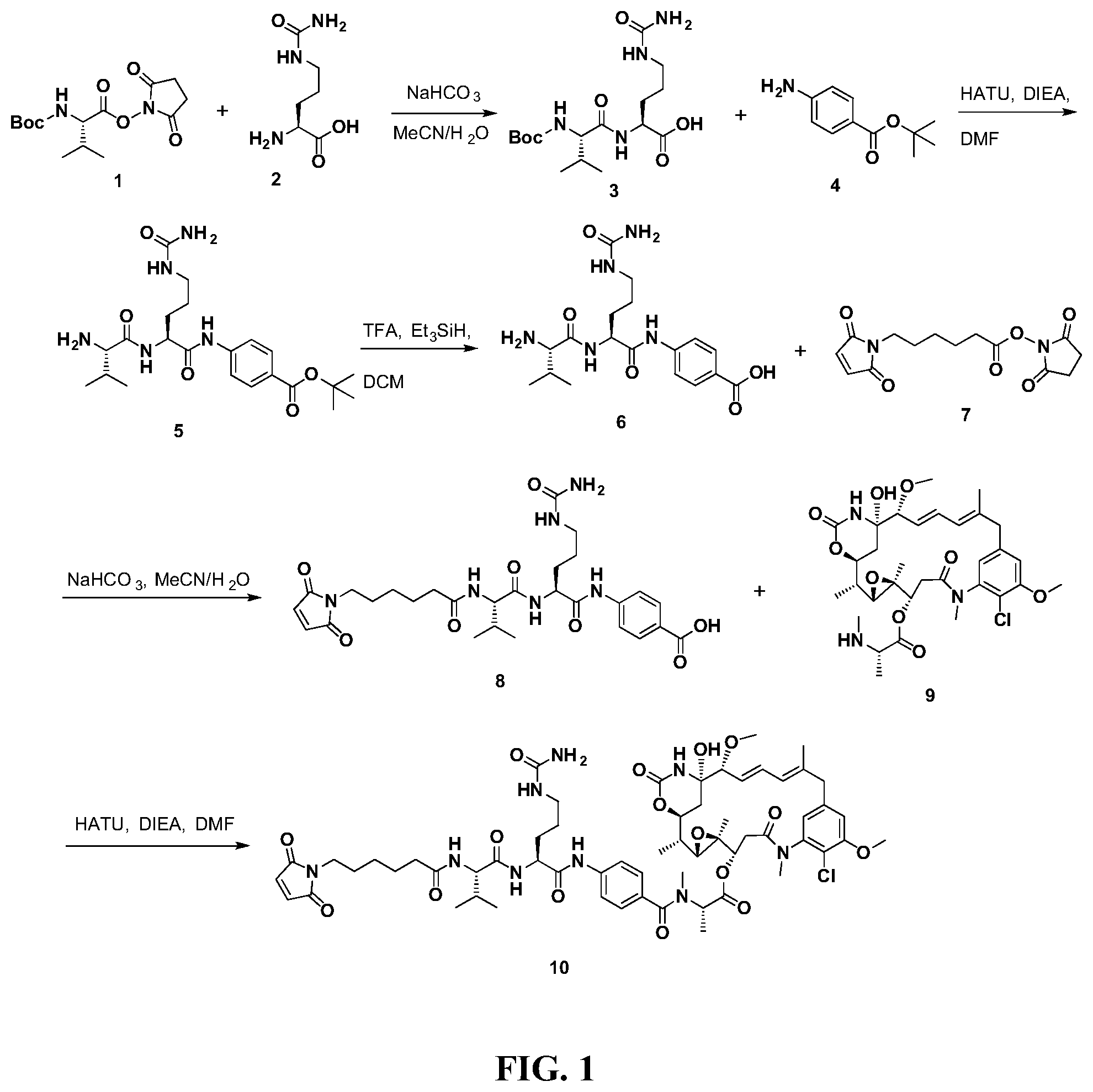 Patent US12297207 — Maytansinoid derivatives, conjugates thereof, and methods of use — Figure 1