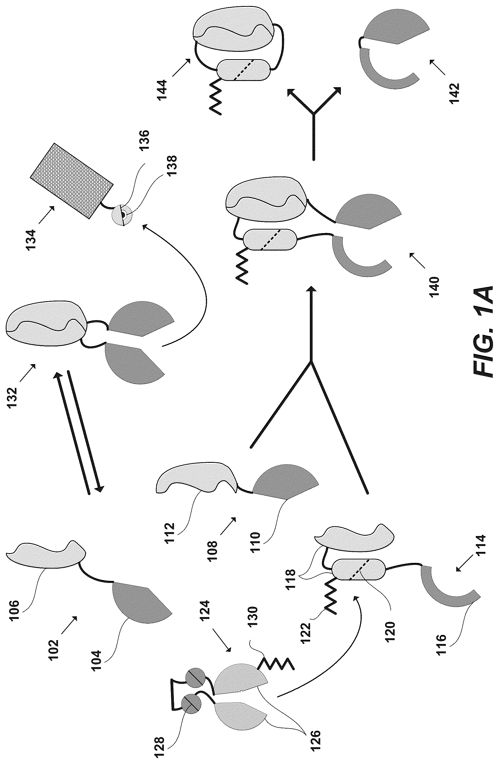 Patent US12297230 — Synthetic system for tunable thresholding of protein signals — Figure 1