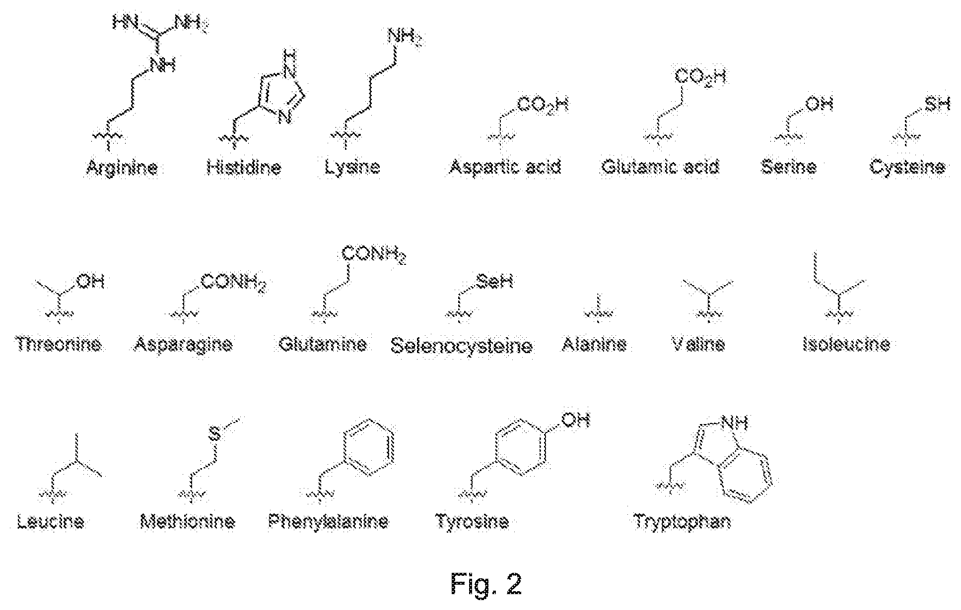 Patent US12297231 Figure 2 – Shape-responsive nanostructures