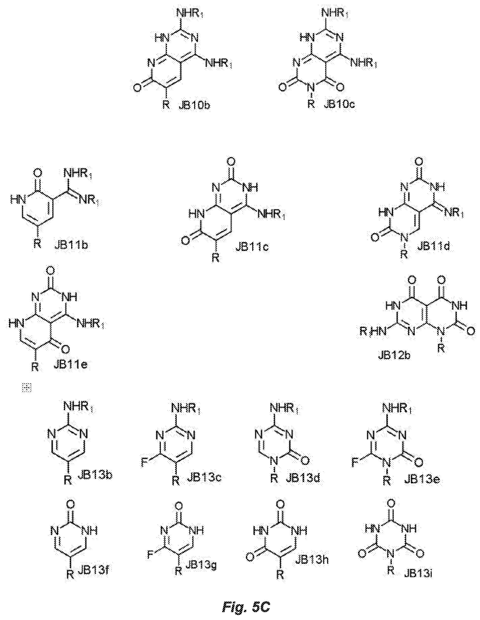 Patent US12297231 Figure 8 – Shape-responsive nanostructures
