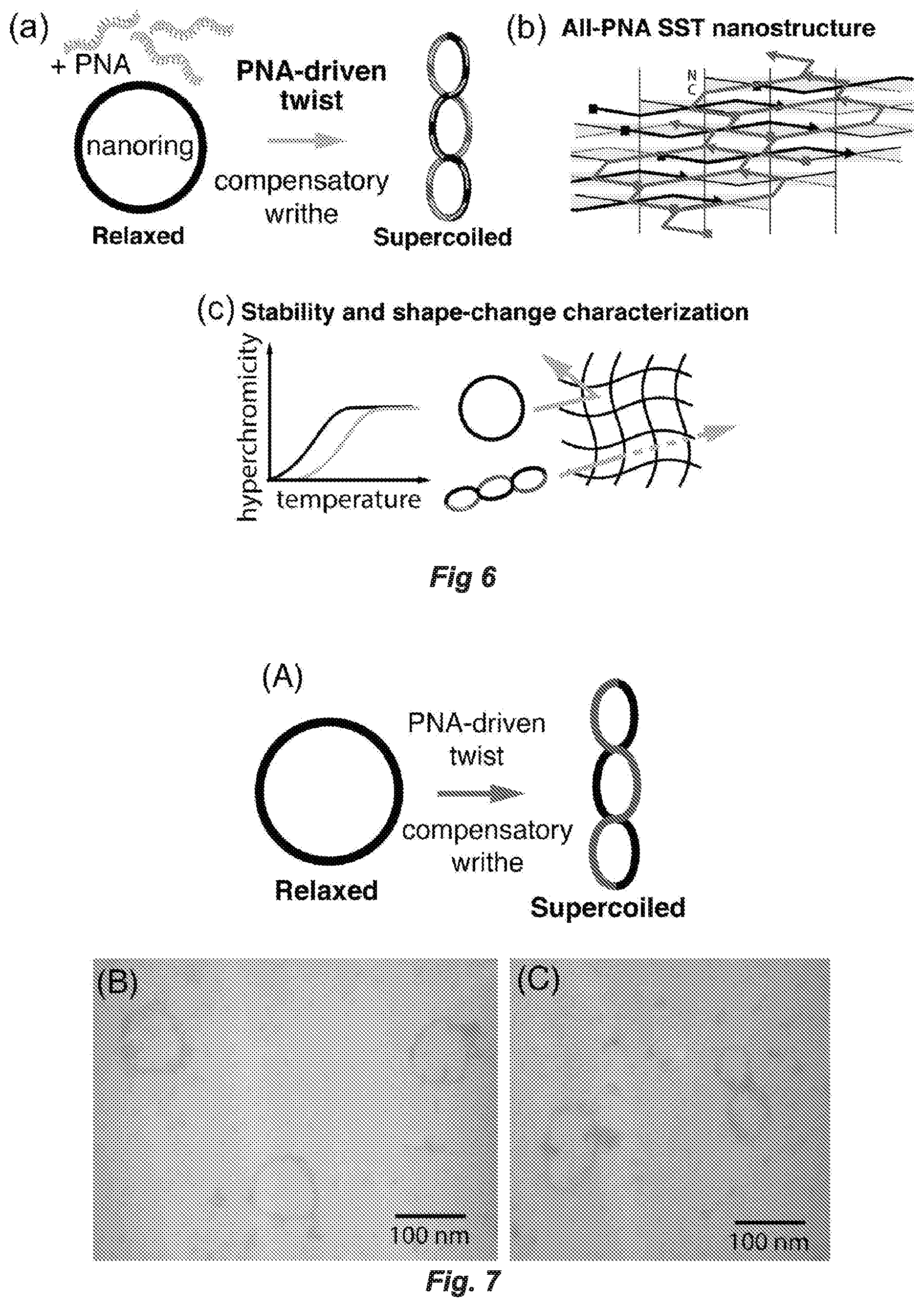 Patent US12297231 Figure 9 – Shape-responsive nanostructures