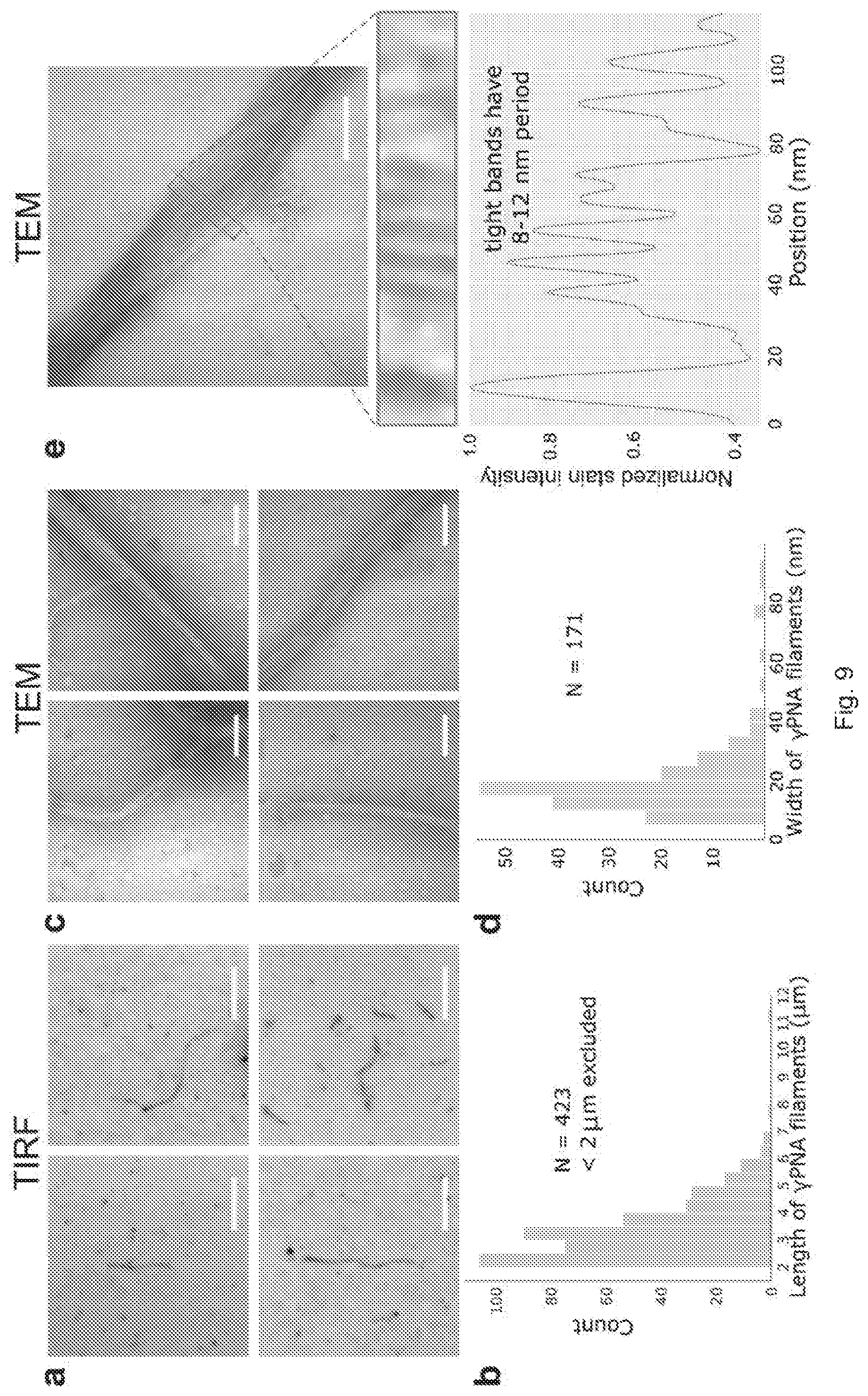 Patent US12297231 Figure 11 – Shape-responsive nanostructures