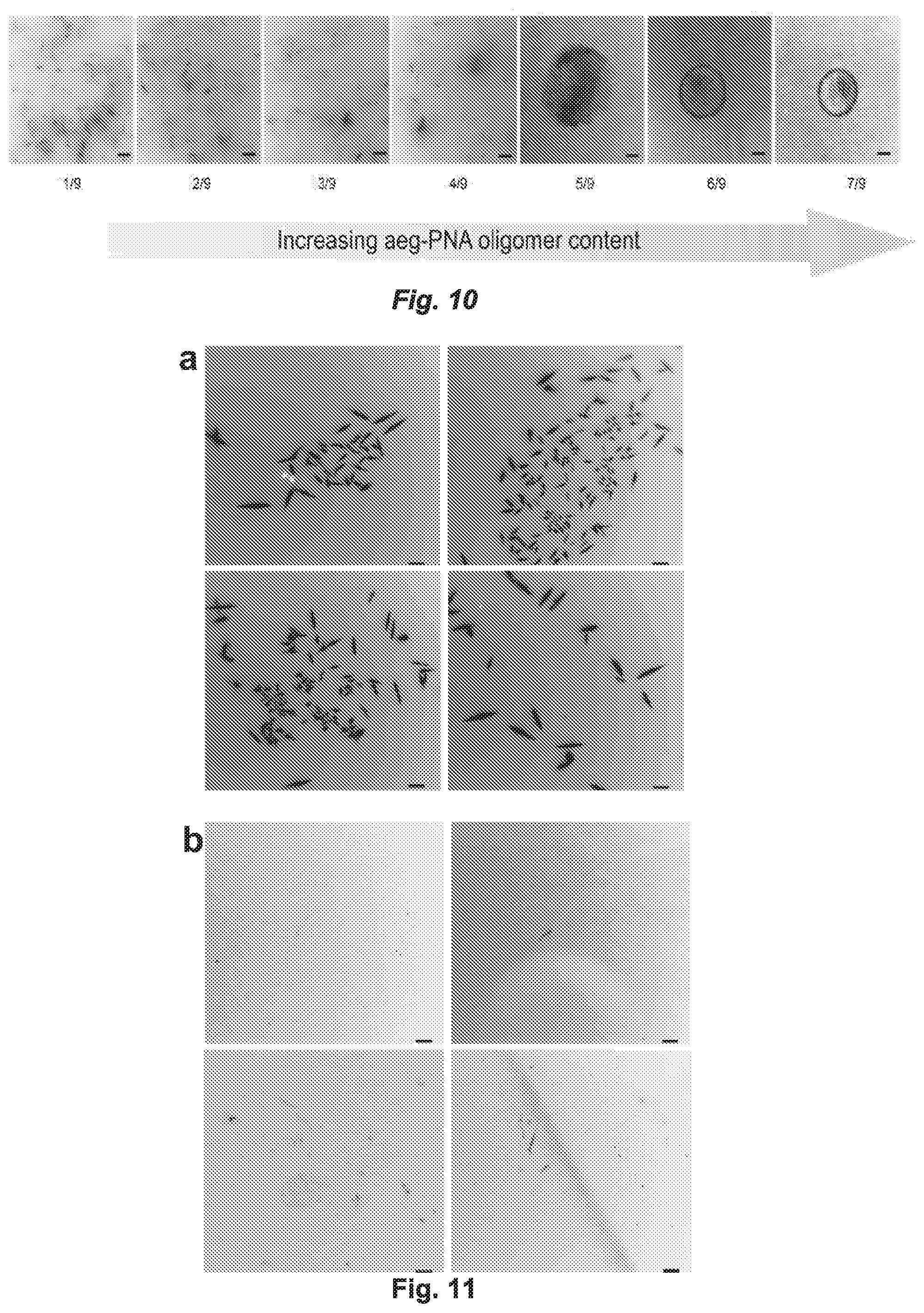 Patent US12297231 Figure 12 – Shape-responsive nanostructures