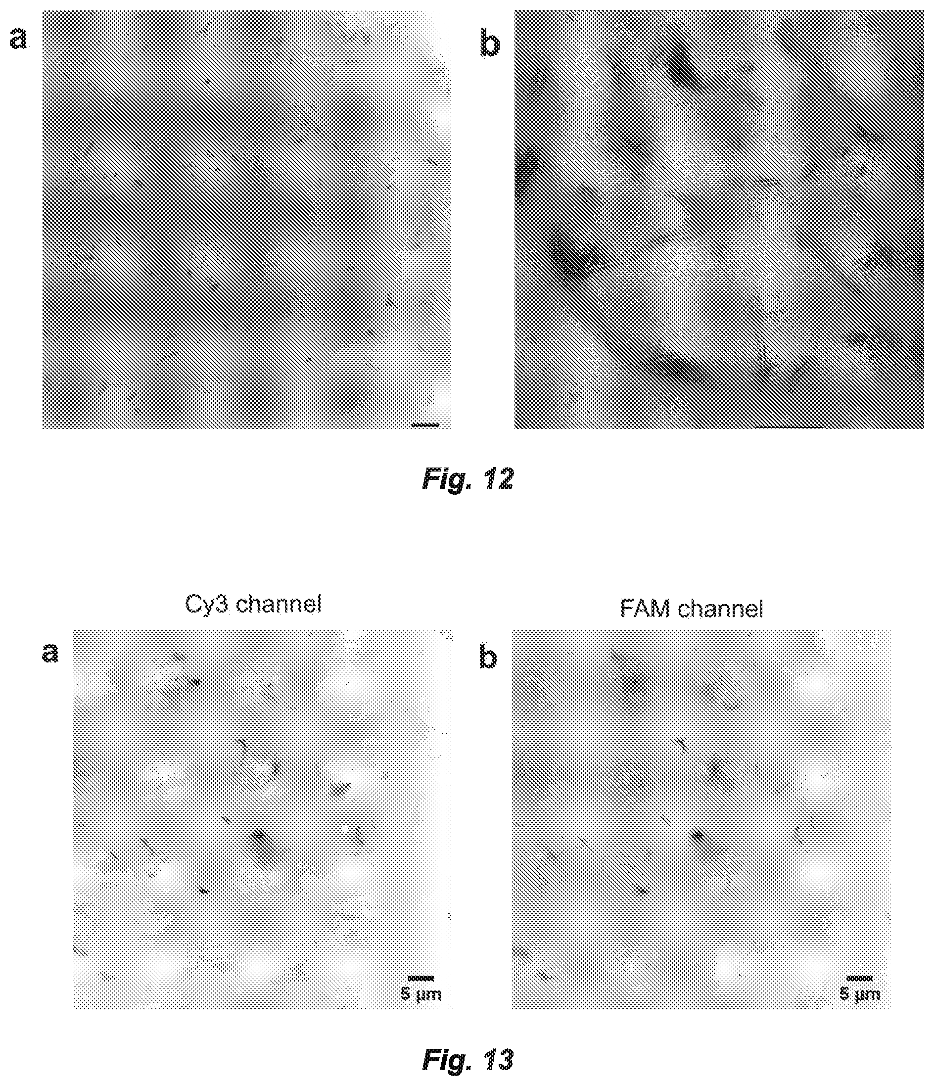 Patent US12297231 Figure 13 – Shape-responsive nanostructures