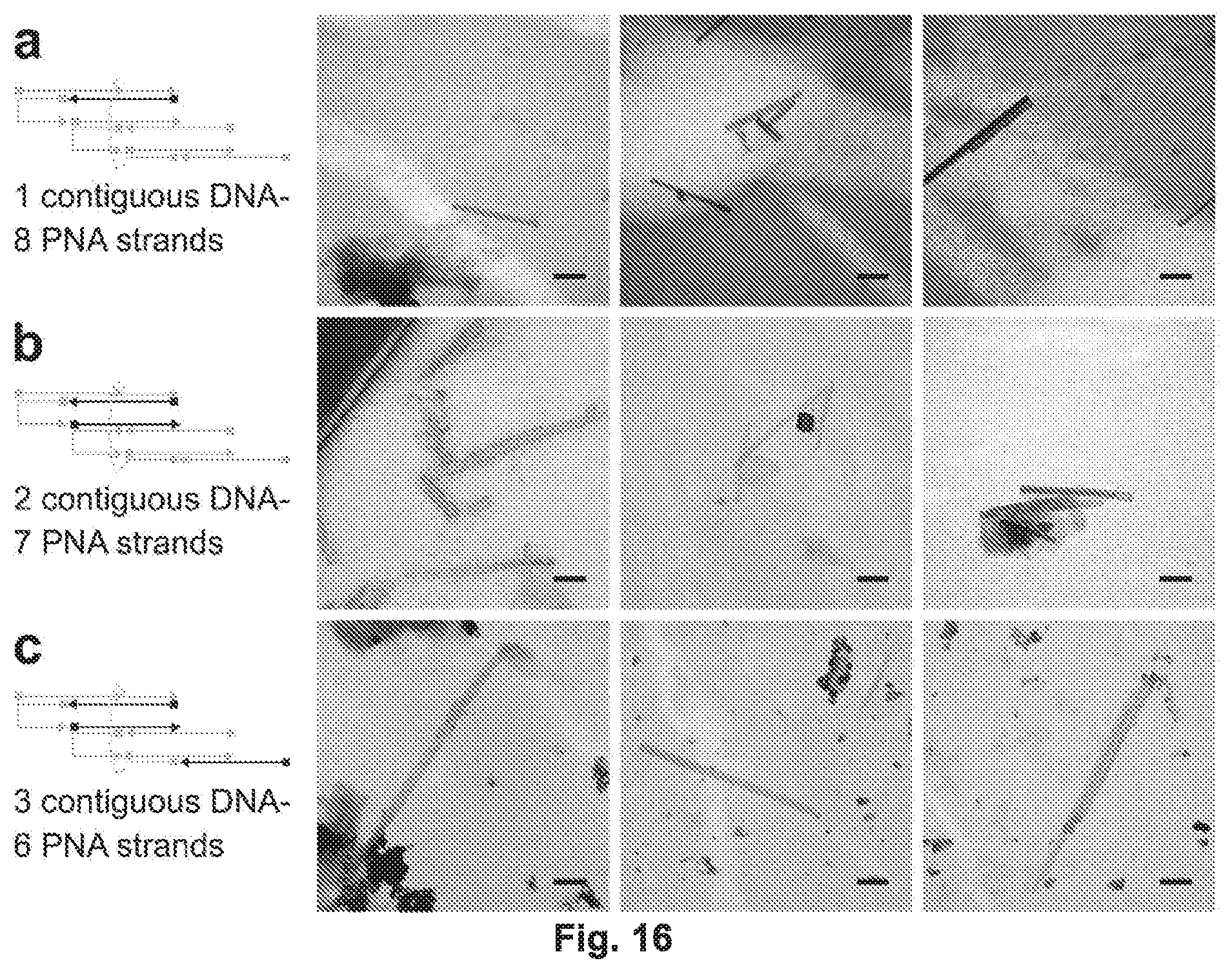 Patent US12297231 Figure 17 – Shape-responsive nanostructures