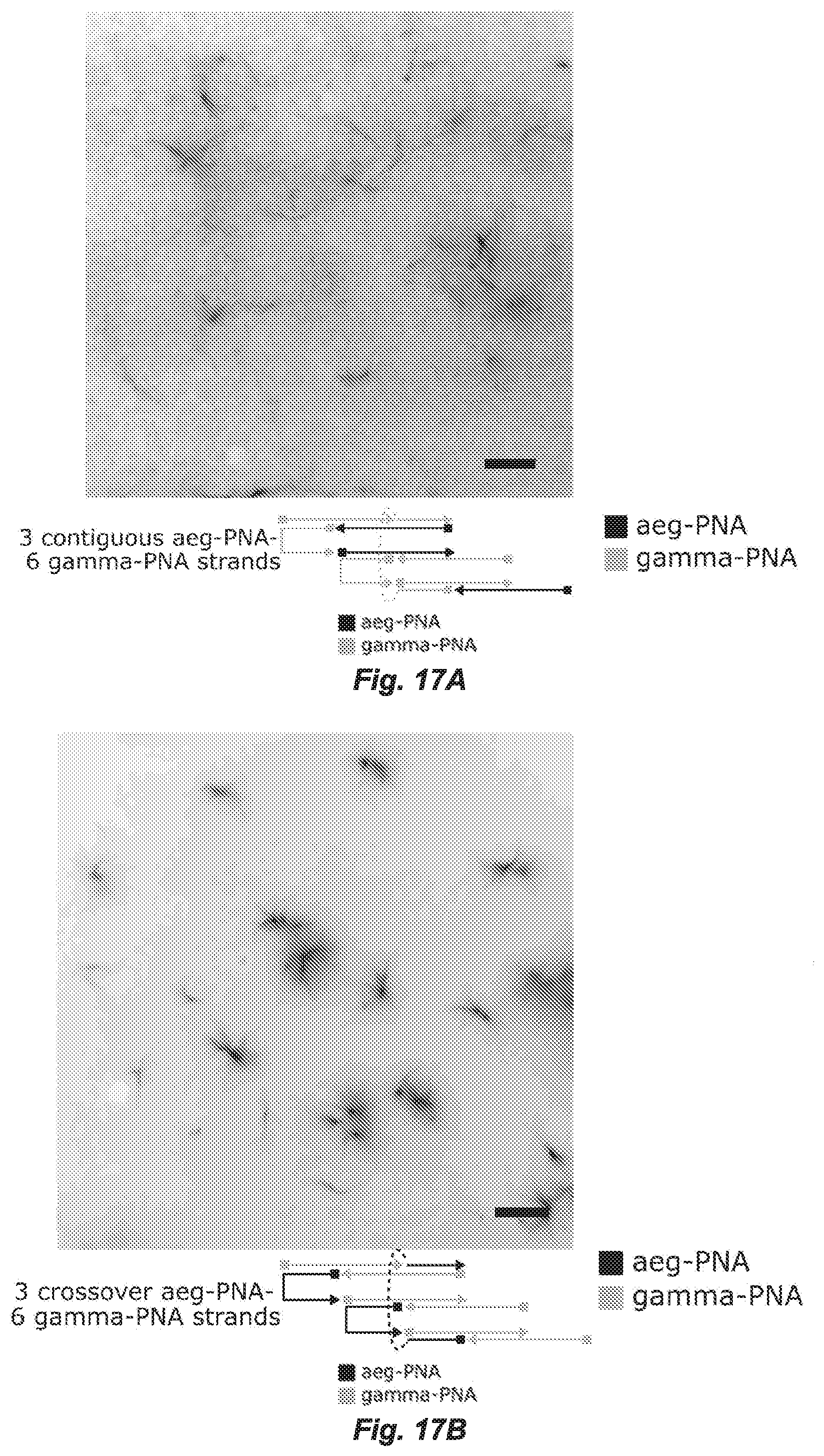 Patent US12297231 Figure 18 – Shape-responsive nanostructures