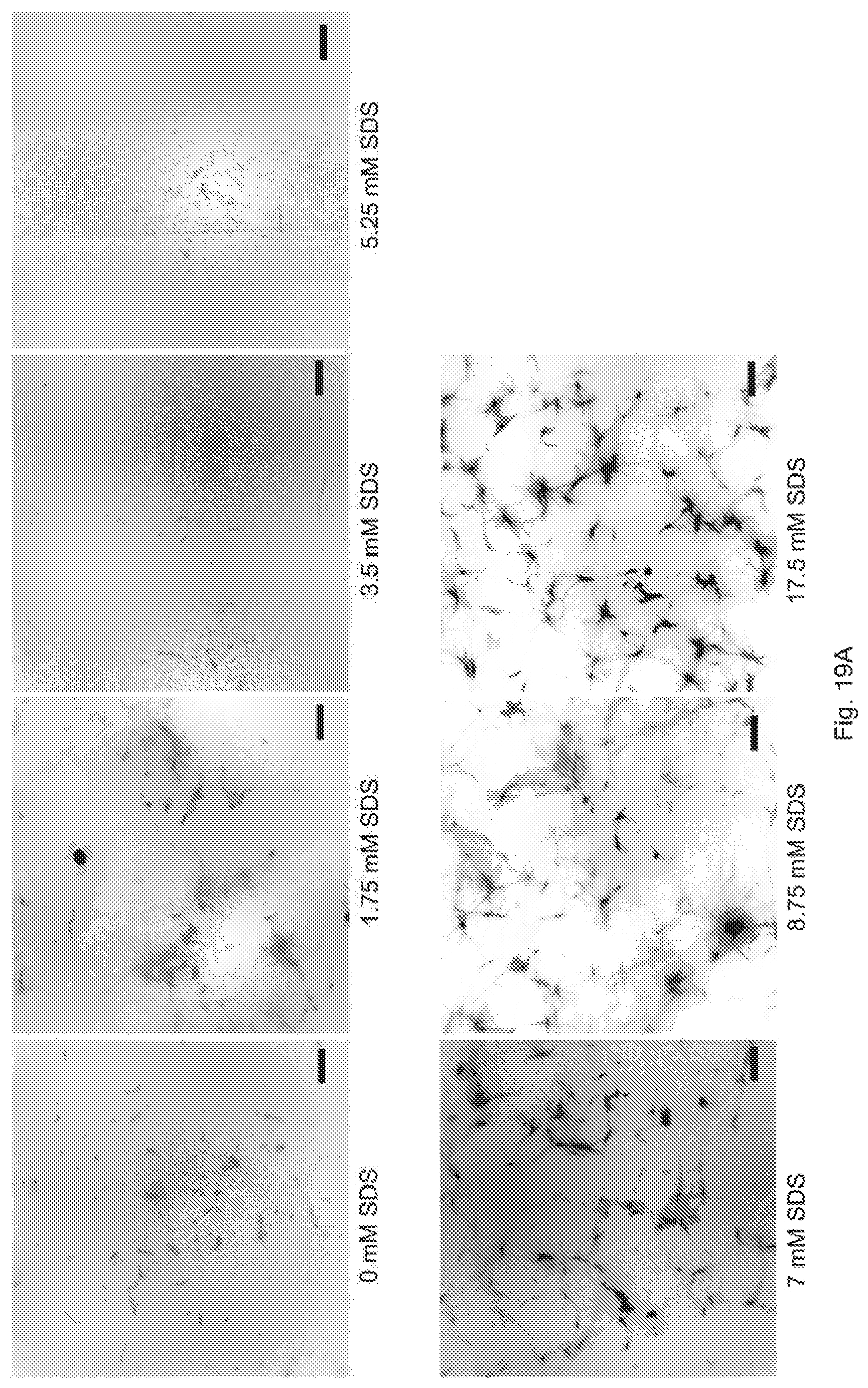 Patent US12297231 Figure 20 – Shape-responsive nanostructures