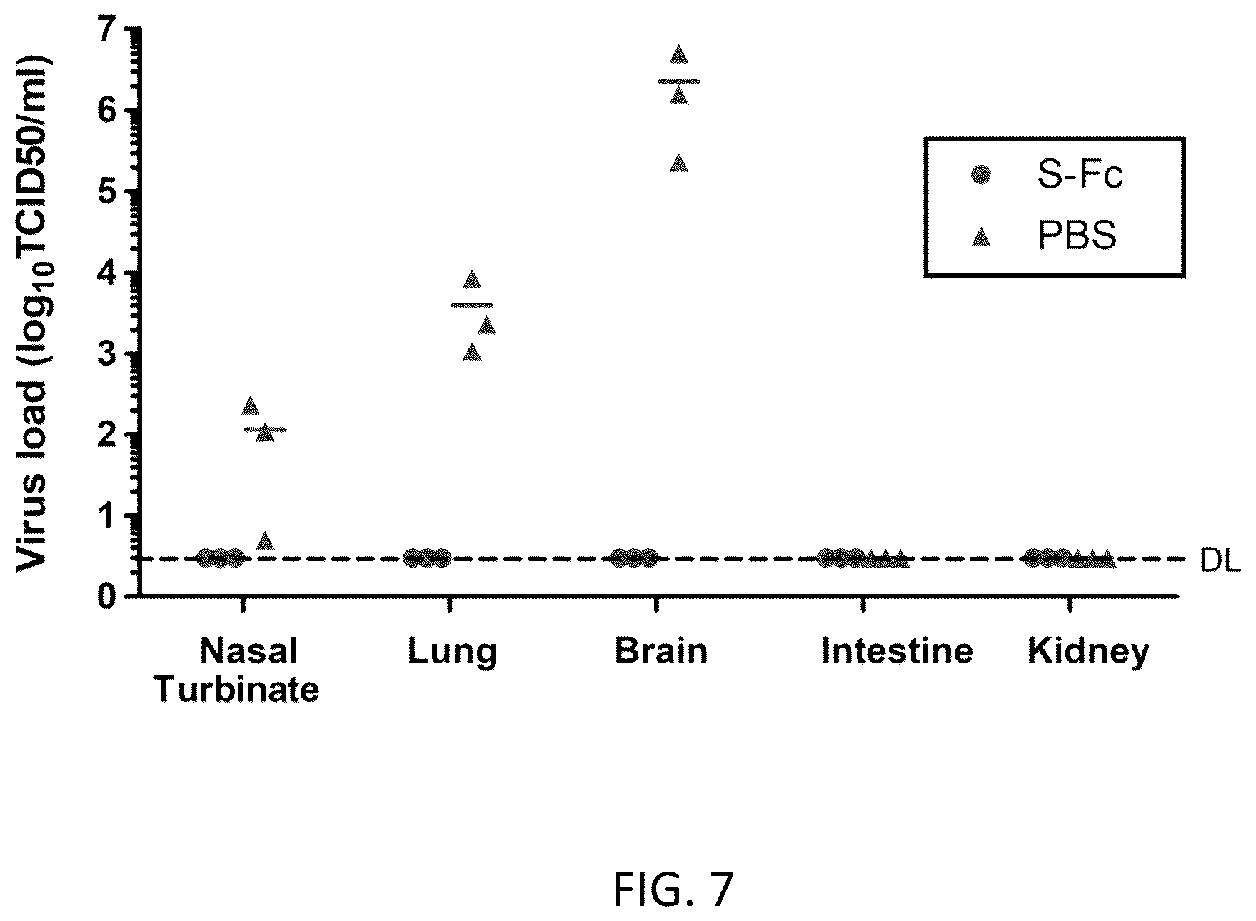 Patent US12297232 Figure 7 – Compositions and methods for mucosal vaccination against SARS-CoV-2