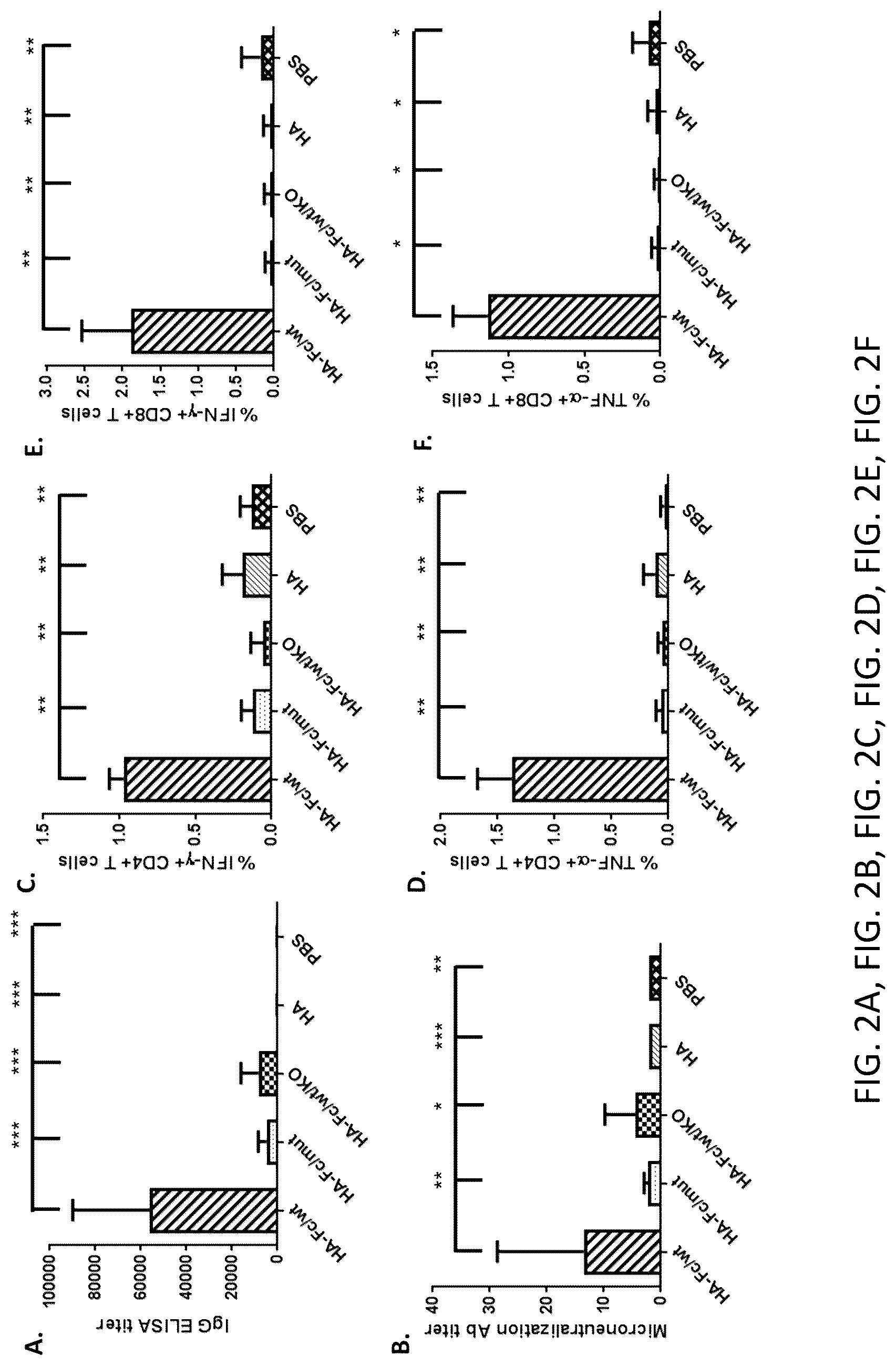 Patent US12297233 Figure 3 – FcRn-targeted mucosal vaccination against influenza infections