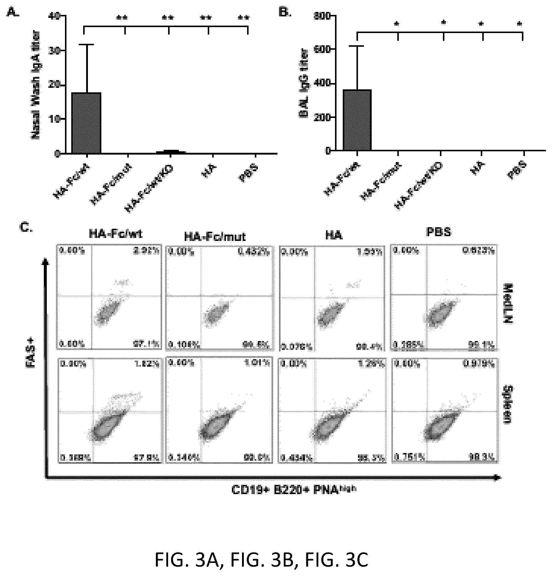 Patent US12297233 Figure 4 – FcRn-targeted mucosal vaccination against influenza infections