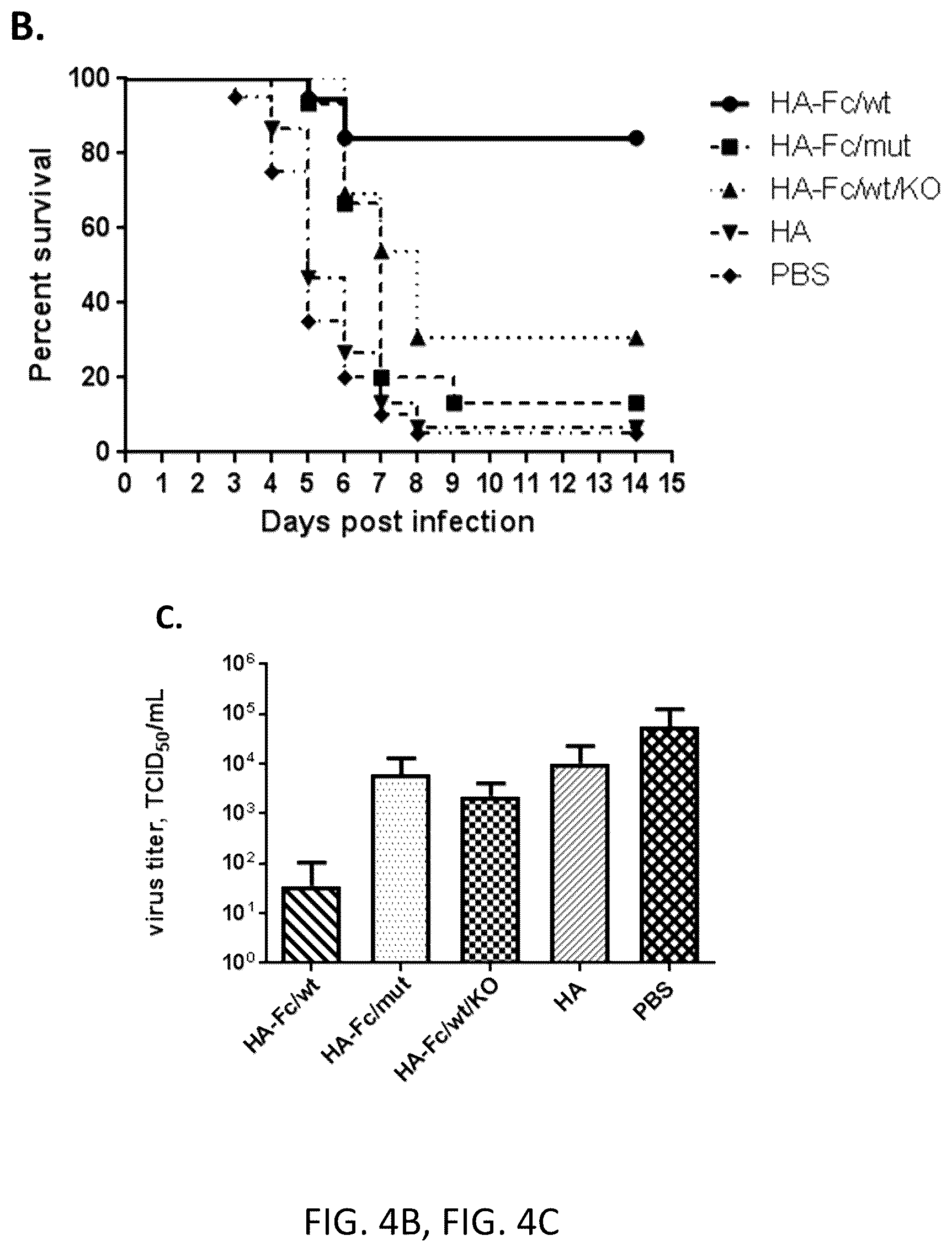 Patent US12297233 Figure 6 – FcRn-targeted mucosal vaccination against influenza infections