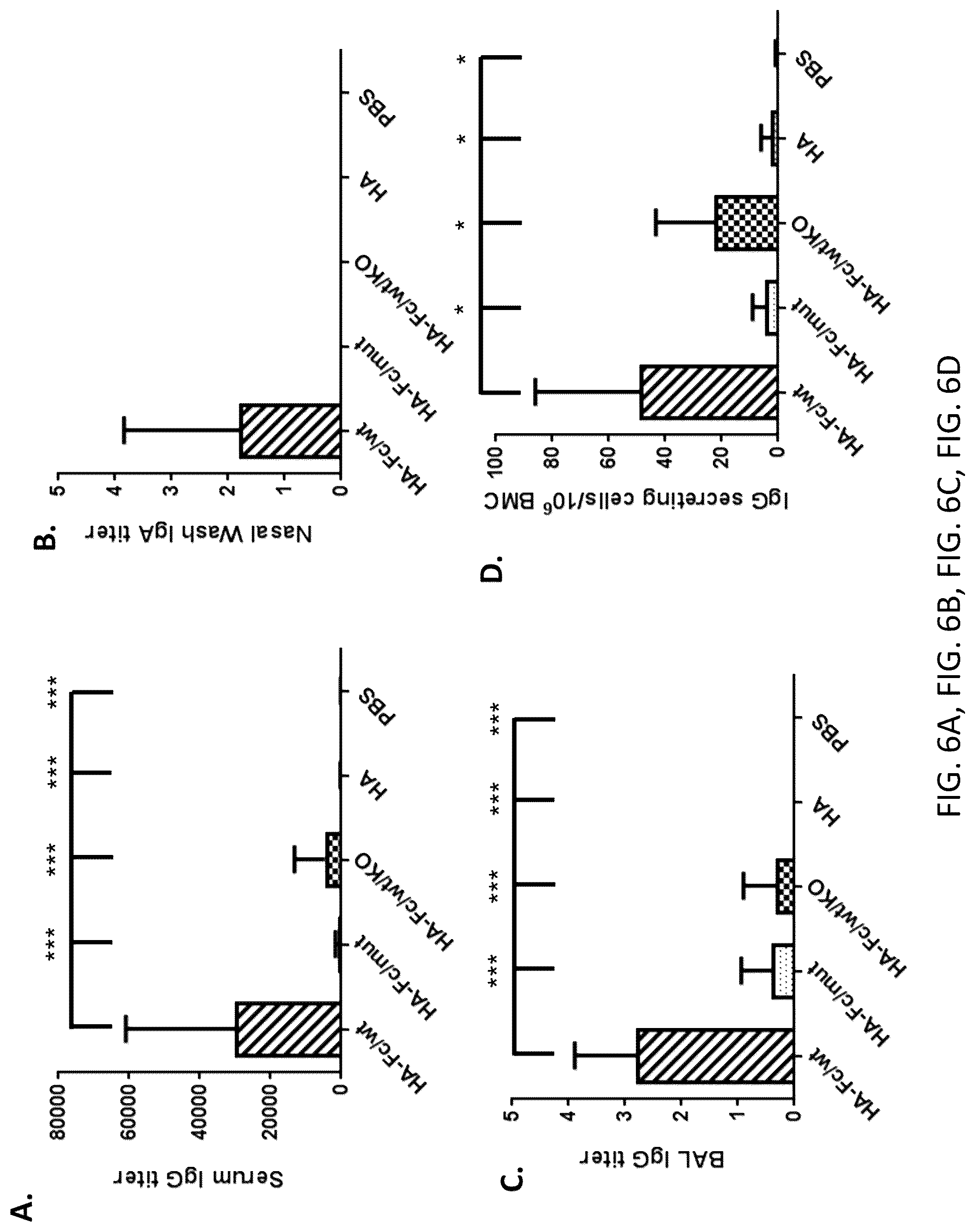 Patent US12297233 Figure 8 – FcRn-targeted mucosal vaccination against influenza infections