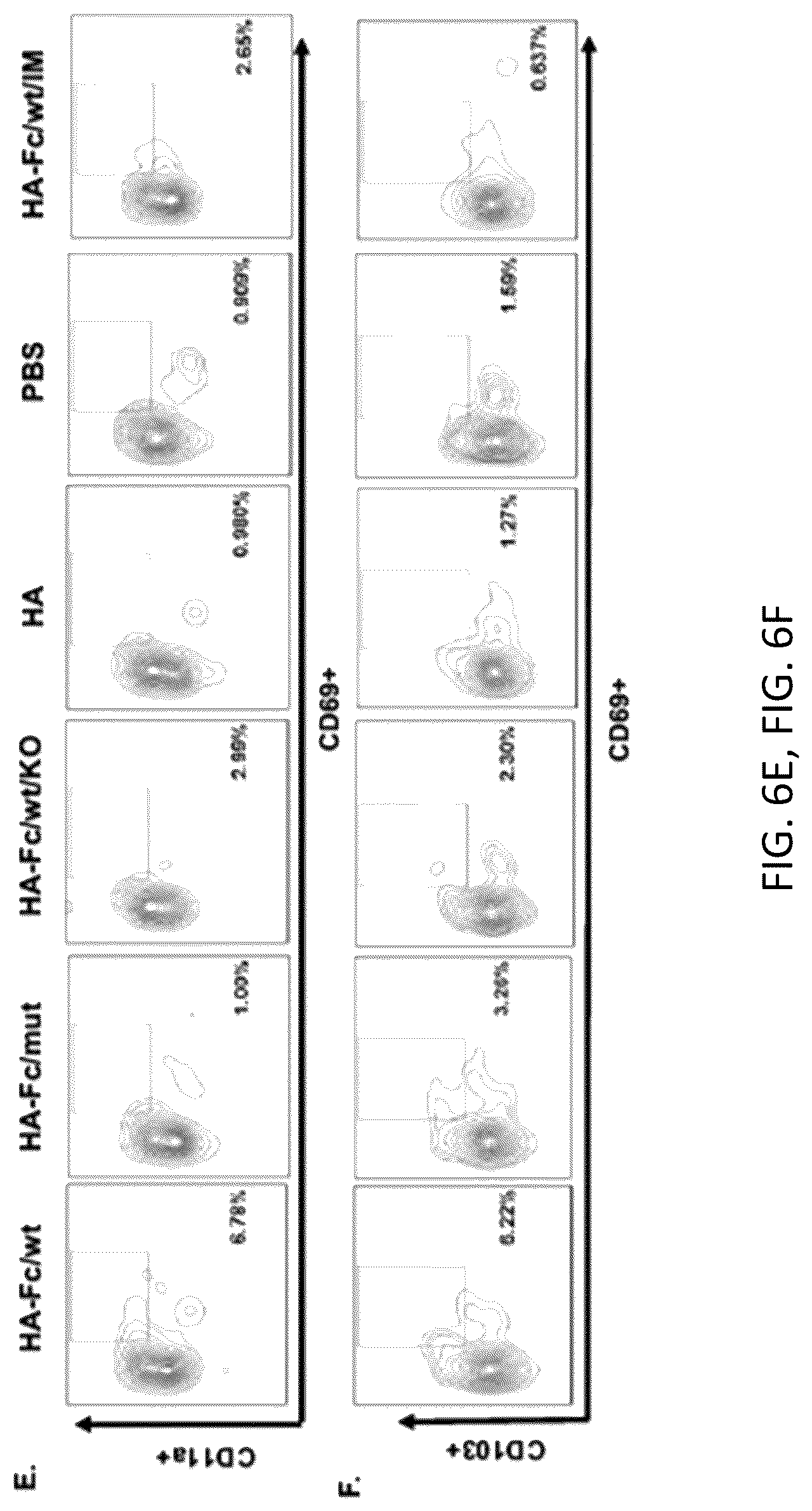 Patent US12297233 Figure 9 – FcRn-targeted mucosal vaccination against influenza infections
