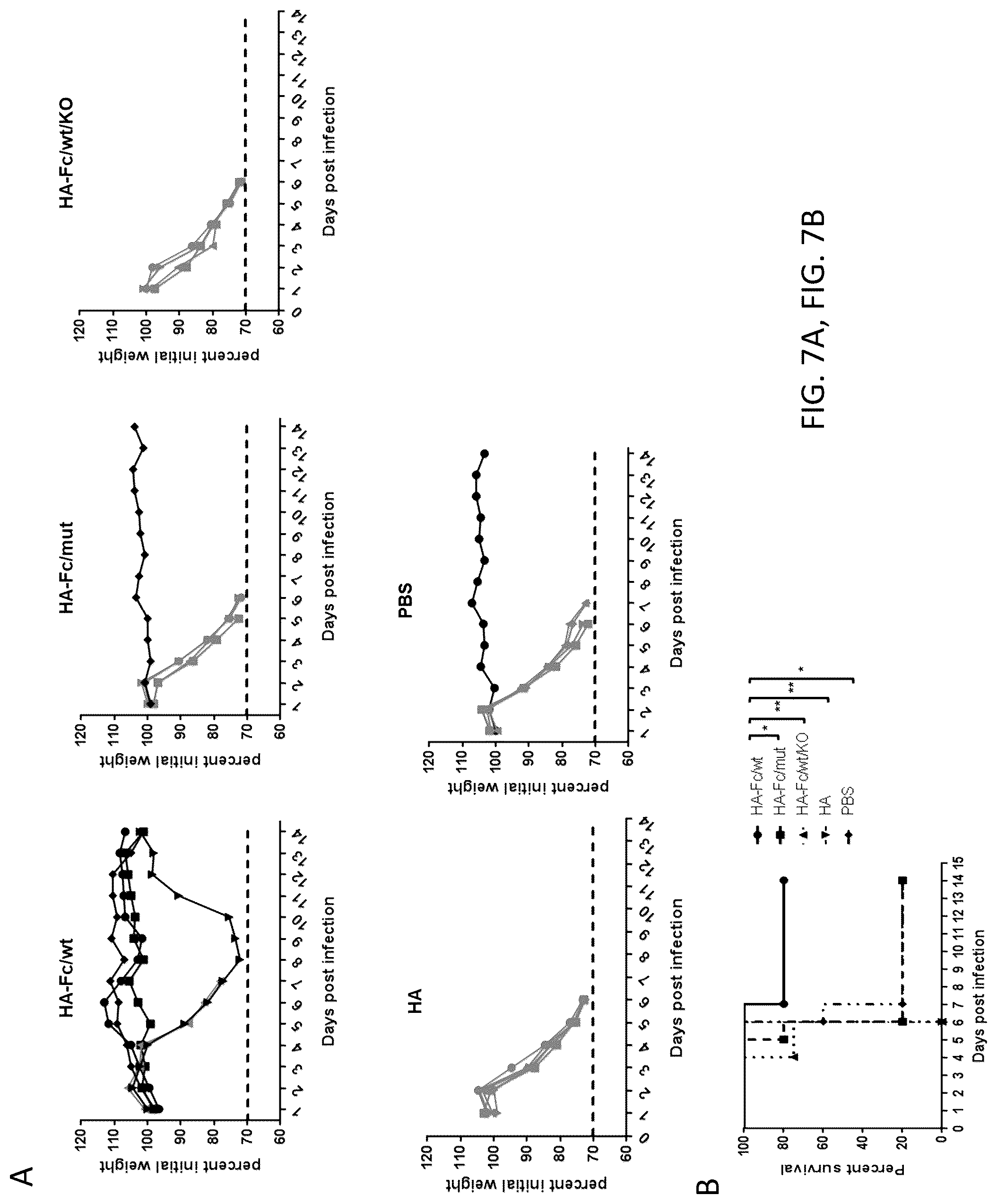 Patent US12297233 Figure 10 – FcRn-targeted mucosal vaccination against influenza infections
