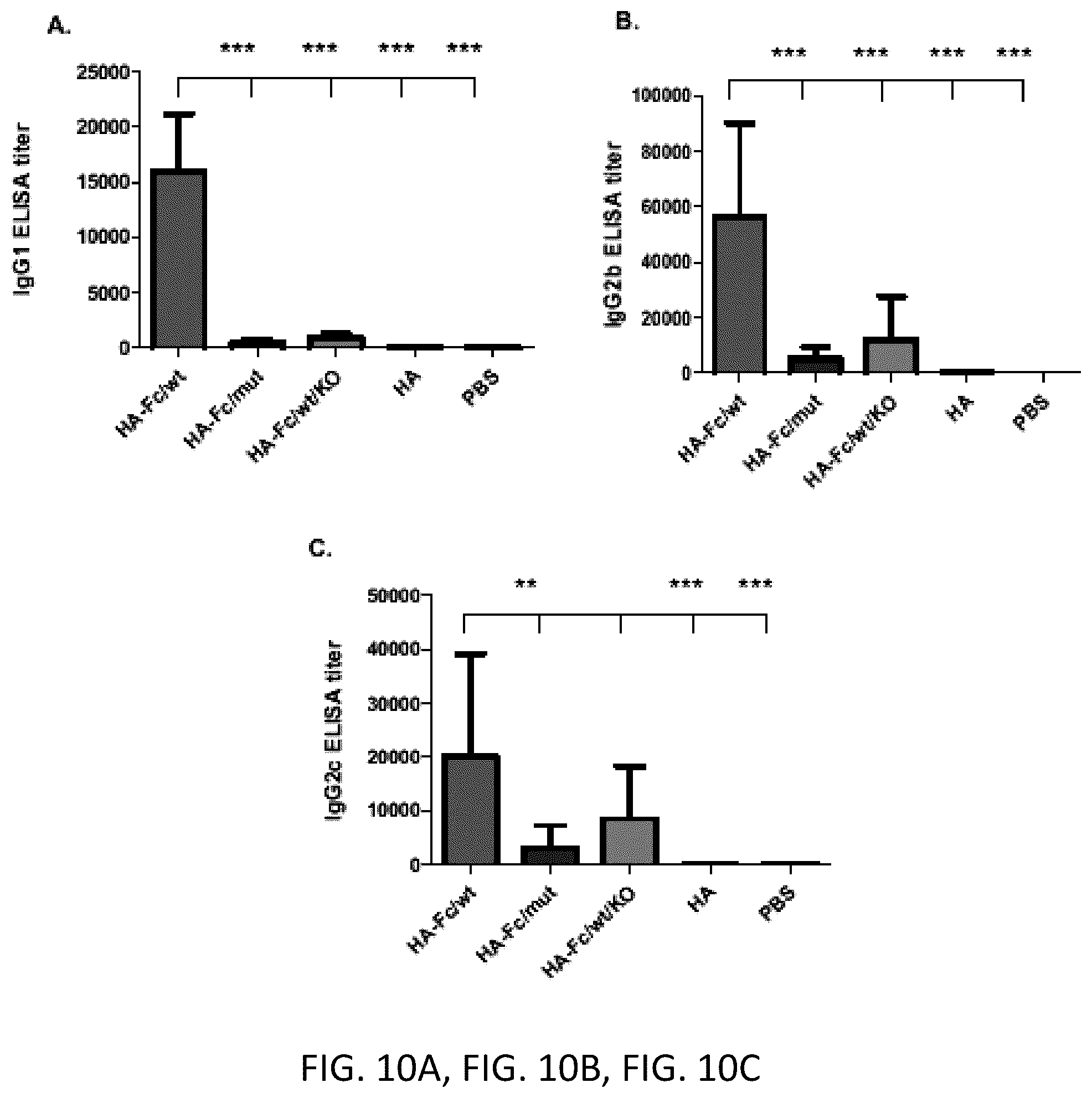 Patent US12297233 Figure 14 – FcRn-targeted mucosal vaccination against influenza infections